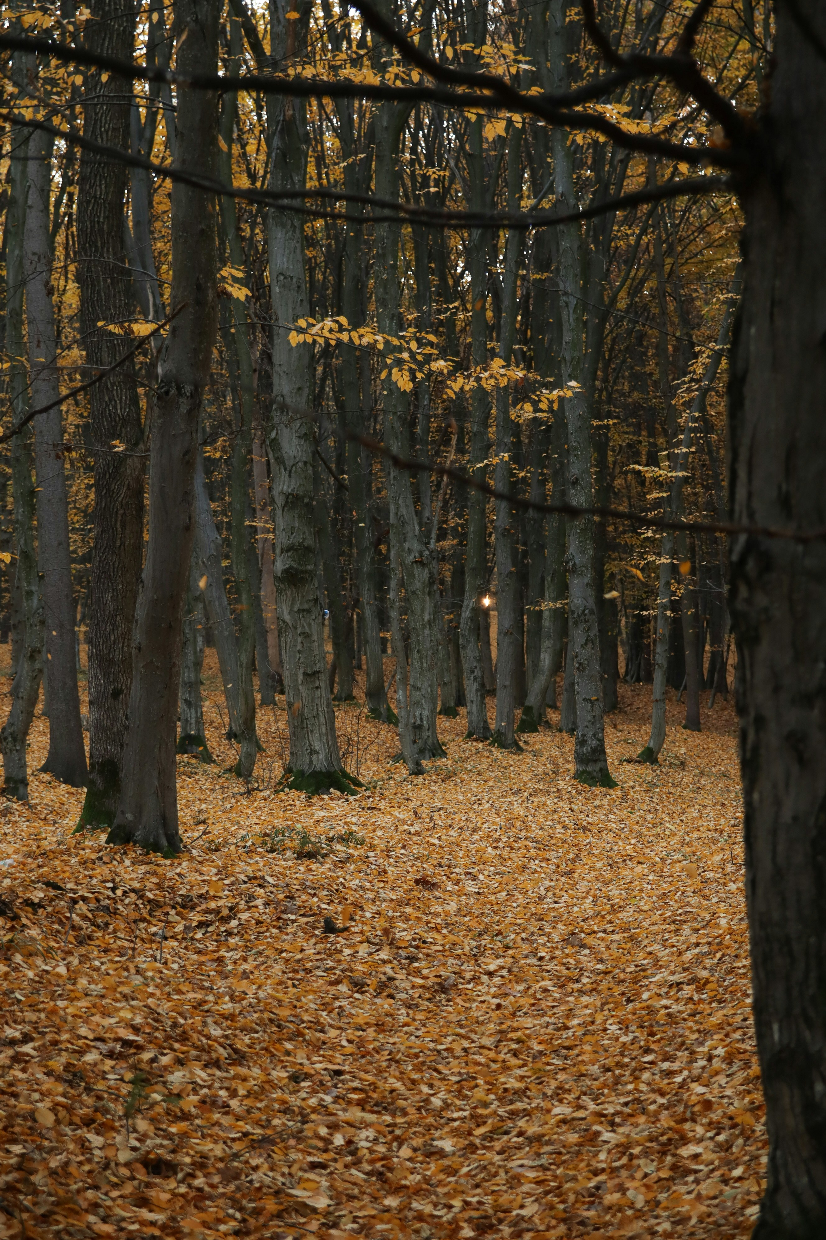 Photo by feeling_hope