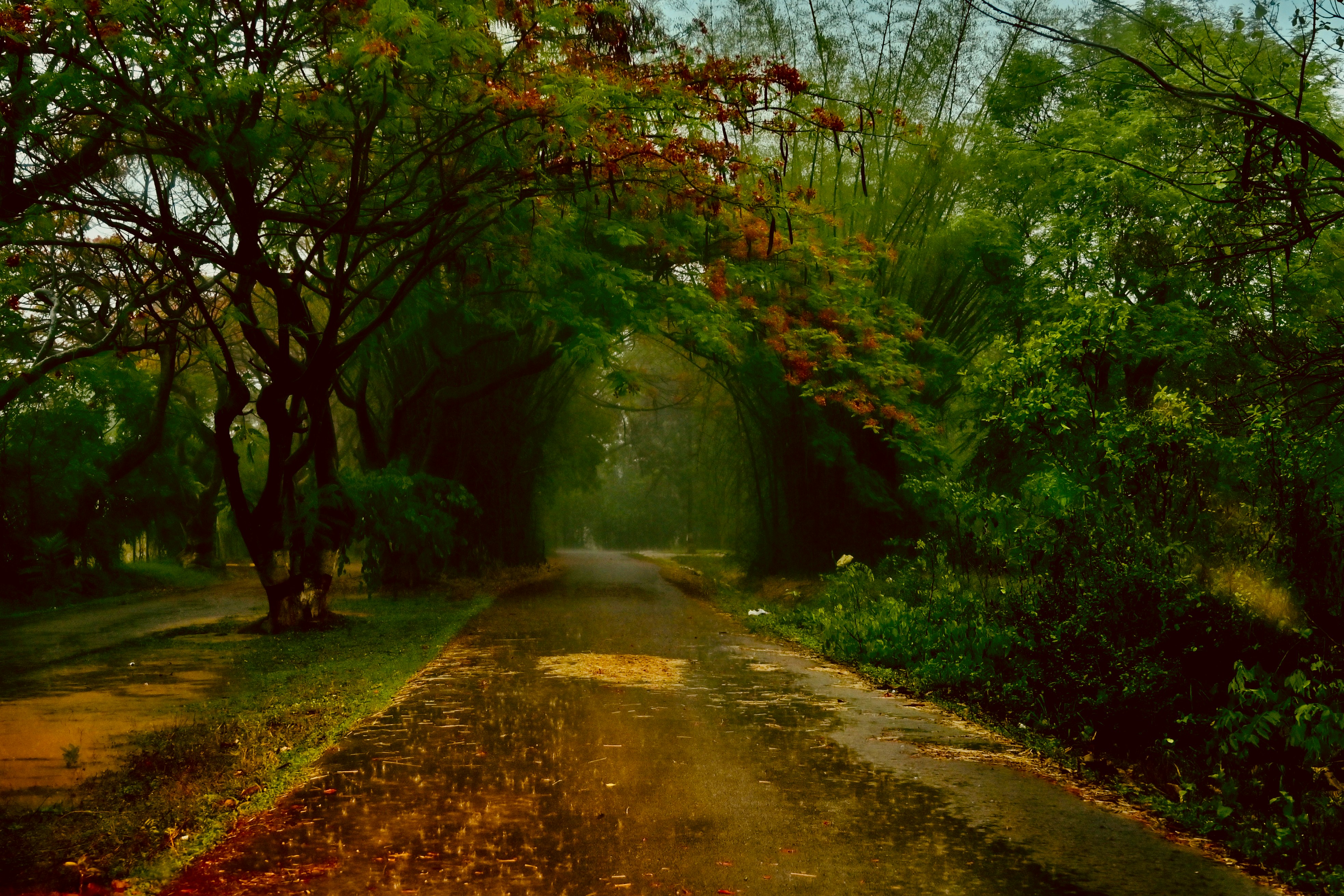 Photo by rrajputphotography