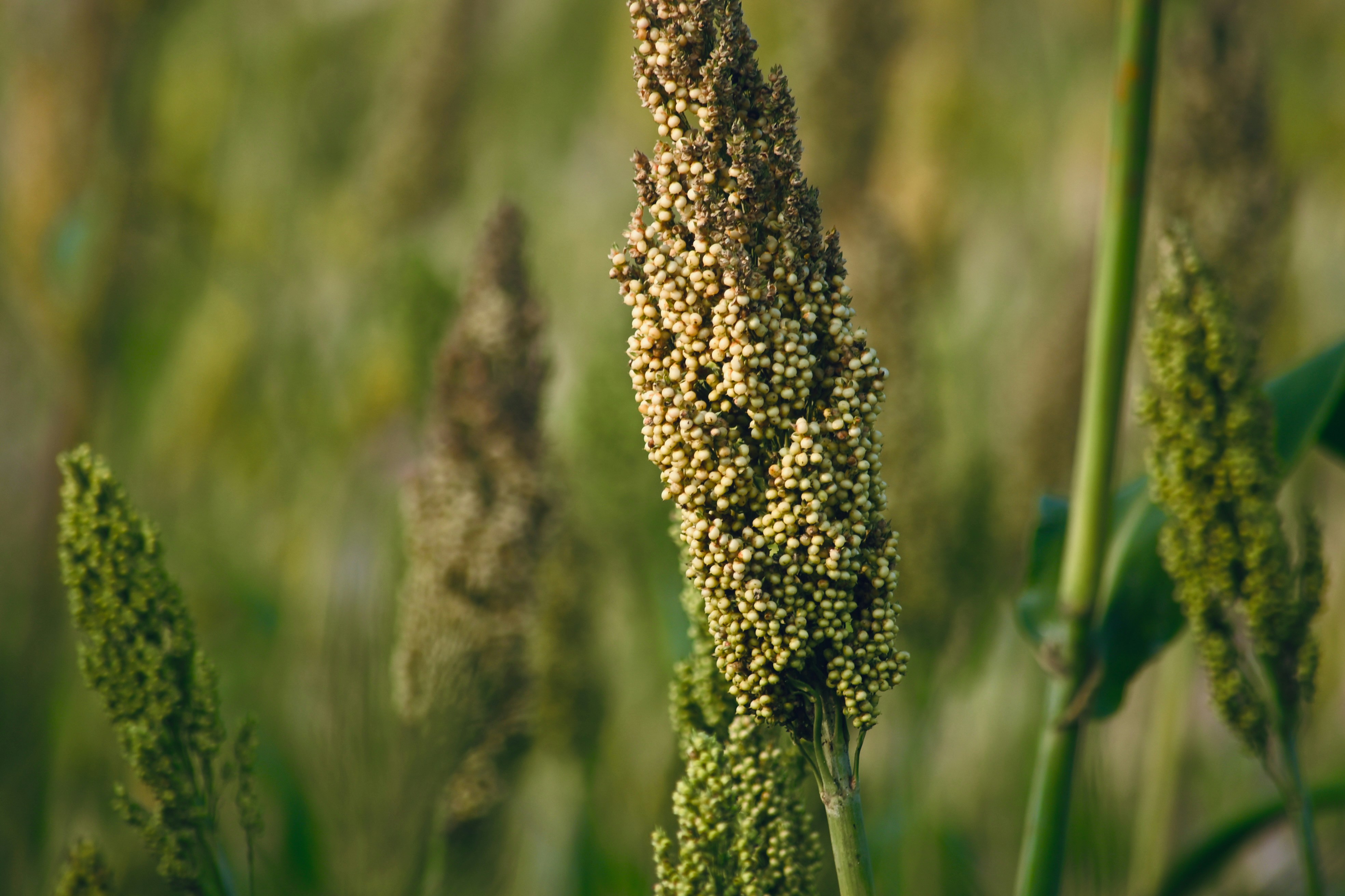 Photo by rrajputphotography