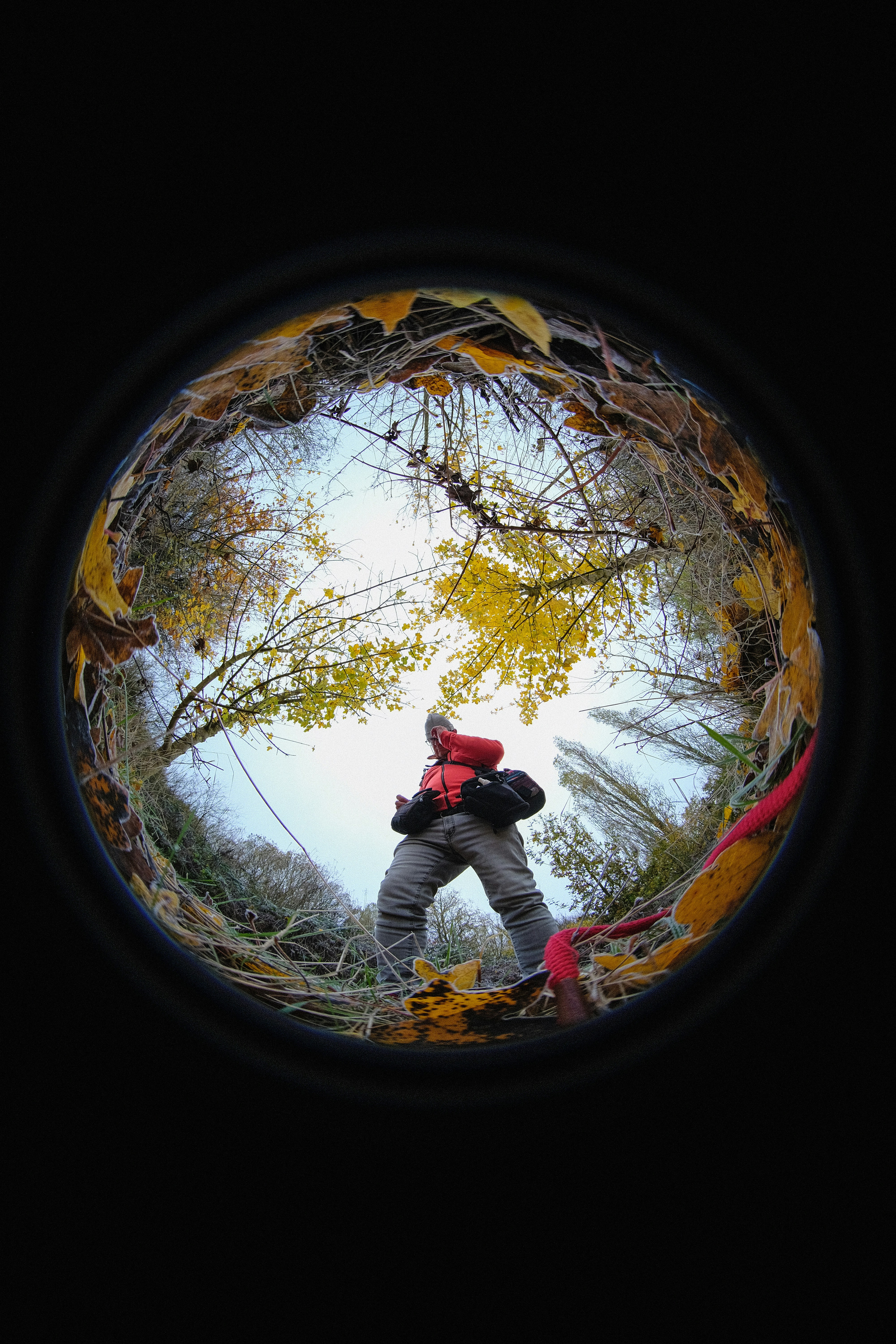 A man standing in the middle of a forest