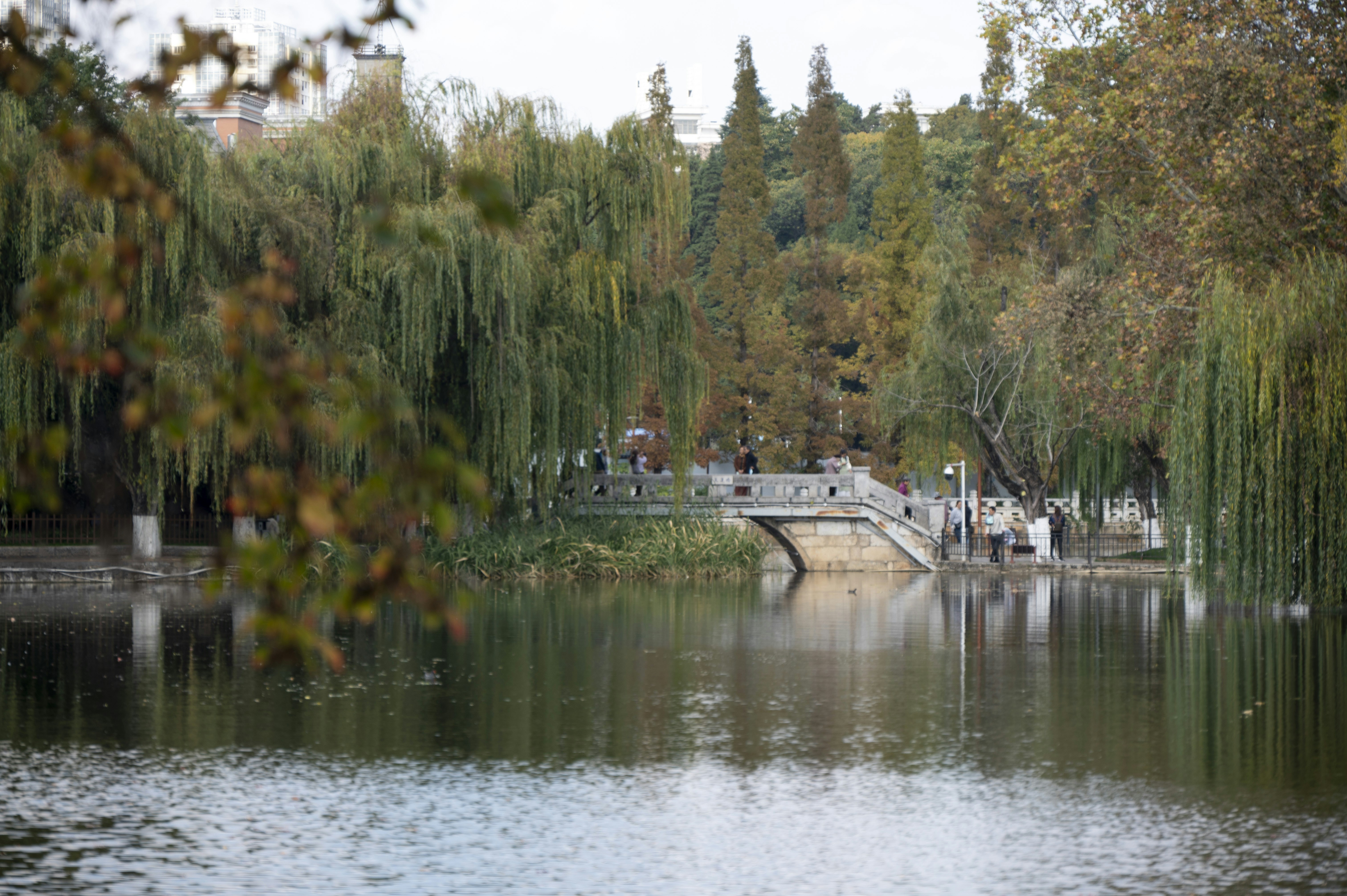 Photo by leoonliang
