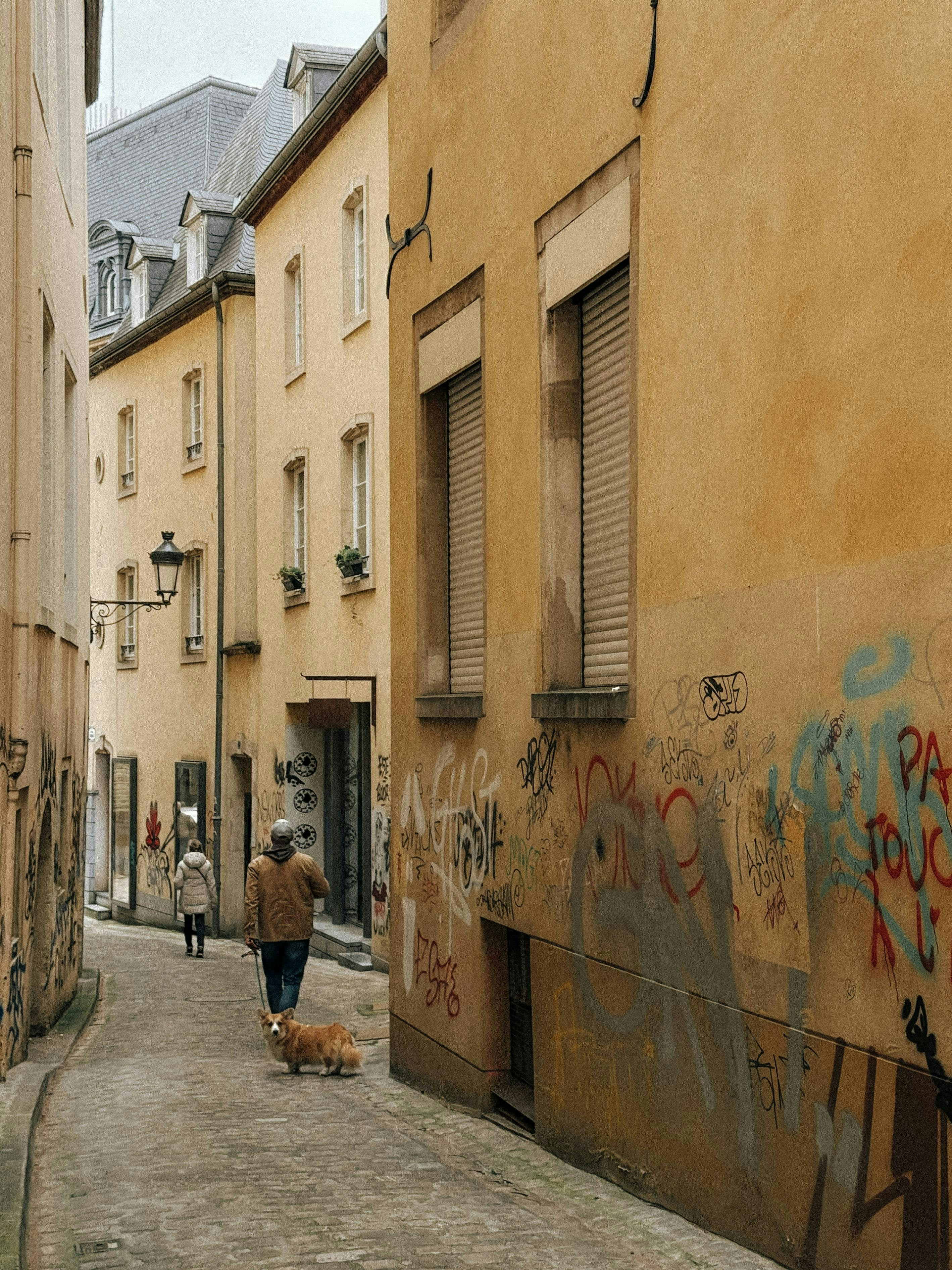 Photo by zvada_photo