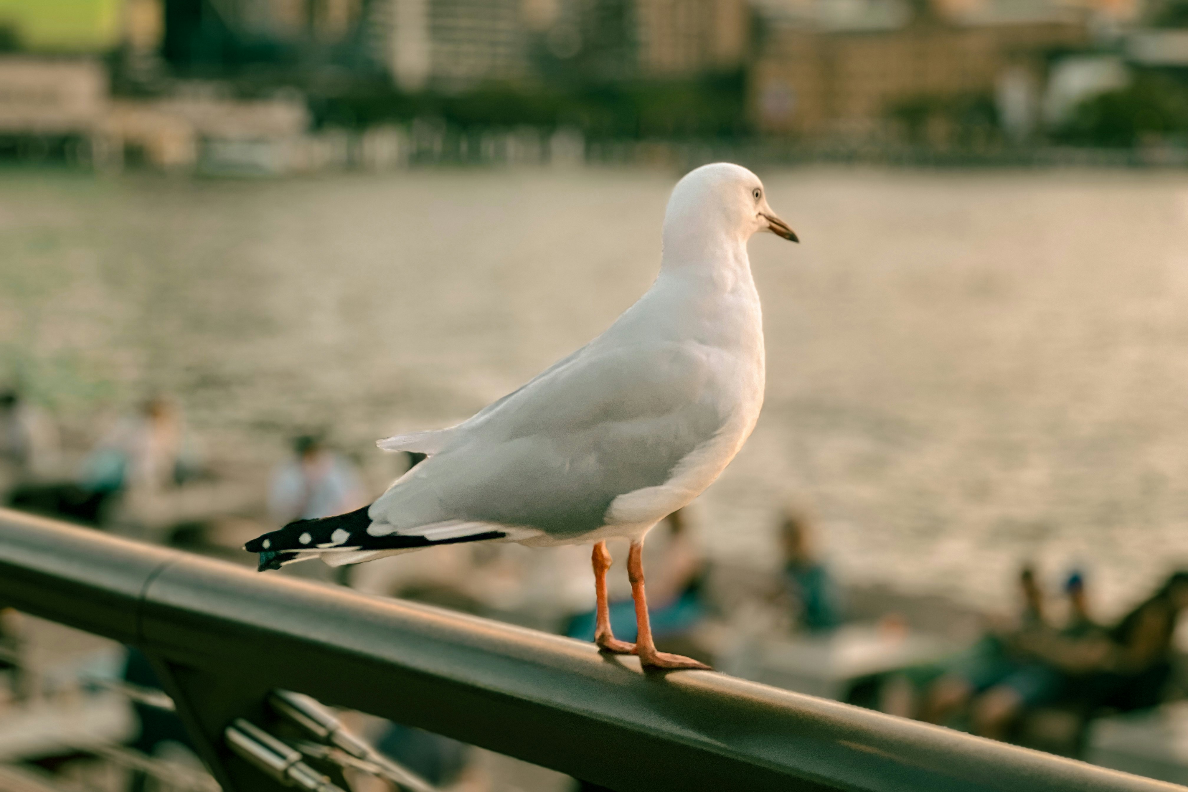 Photo by unclpenguin