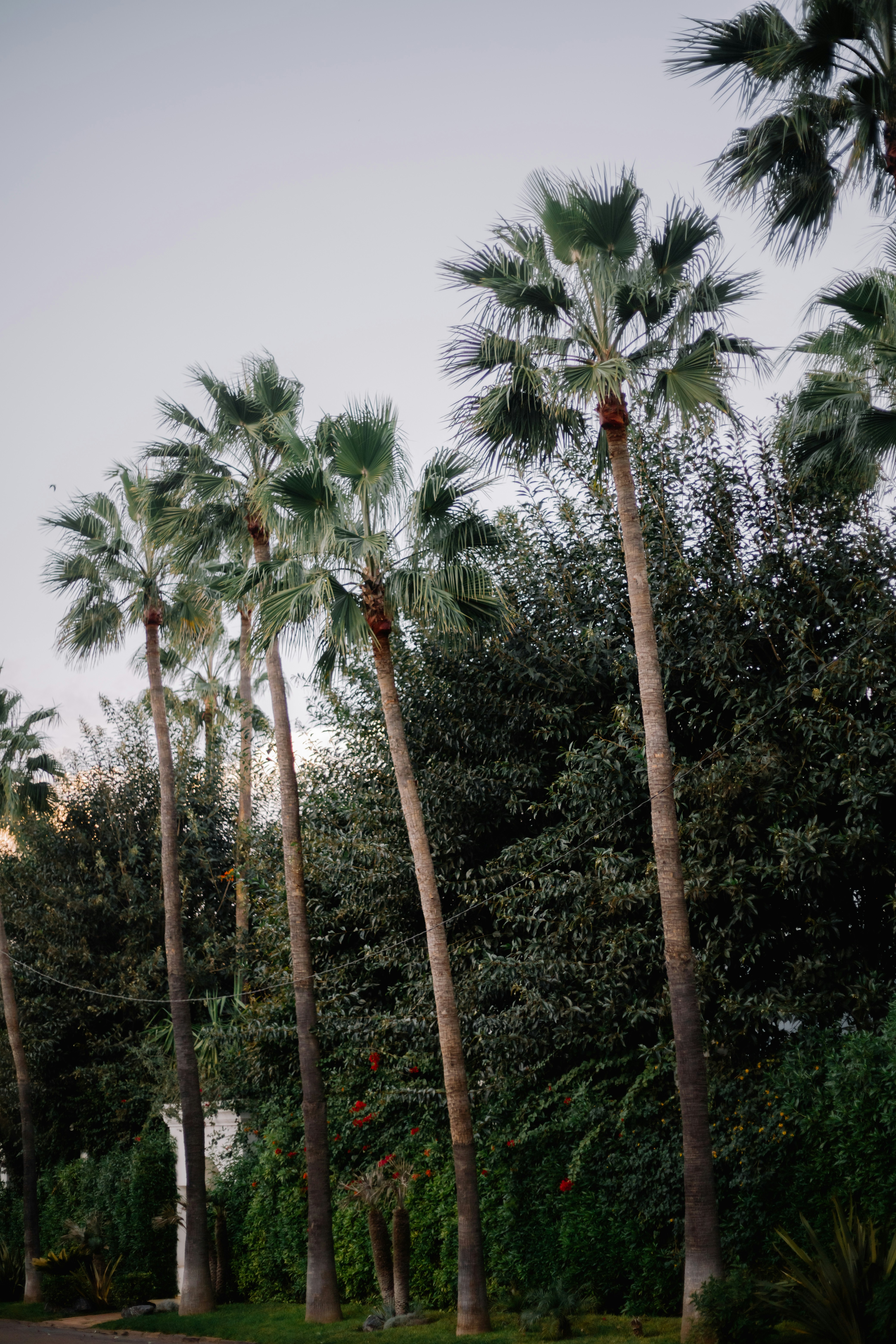 Photo by salaheregouane