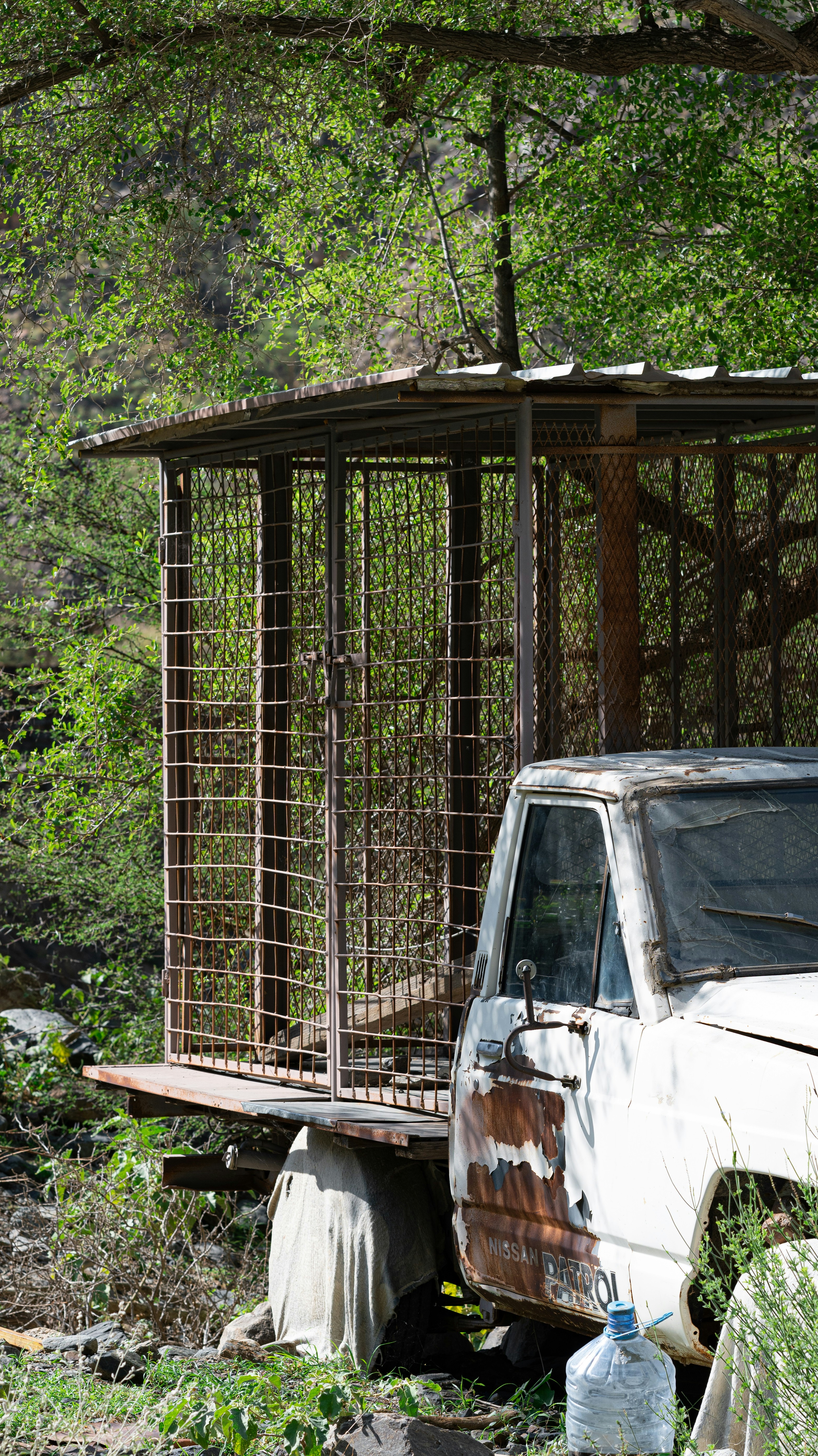An old truck with a cage on the back of it