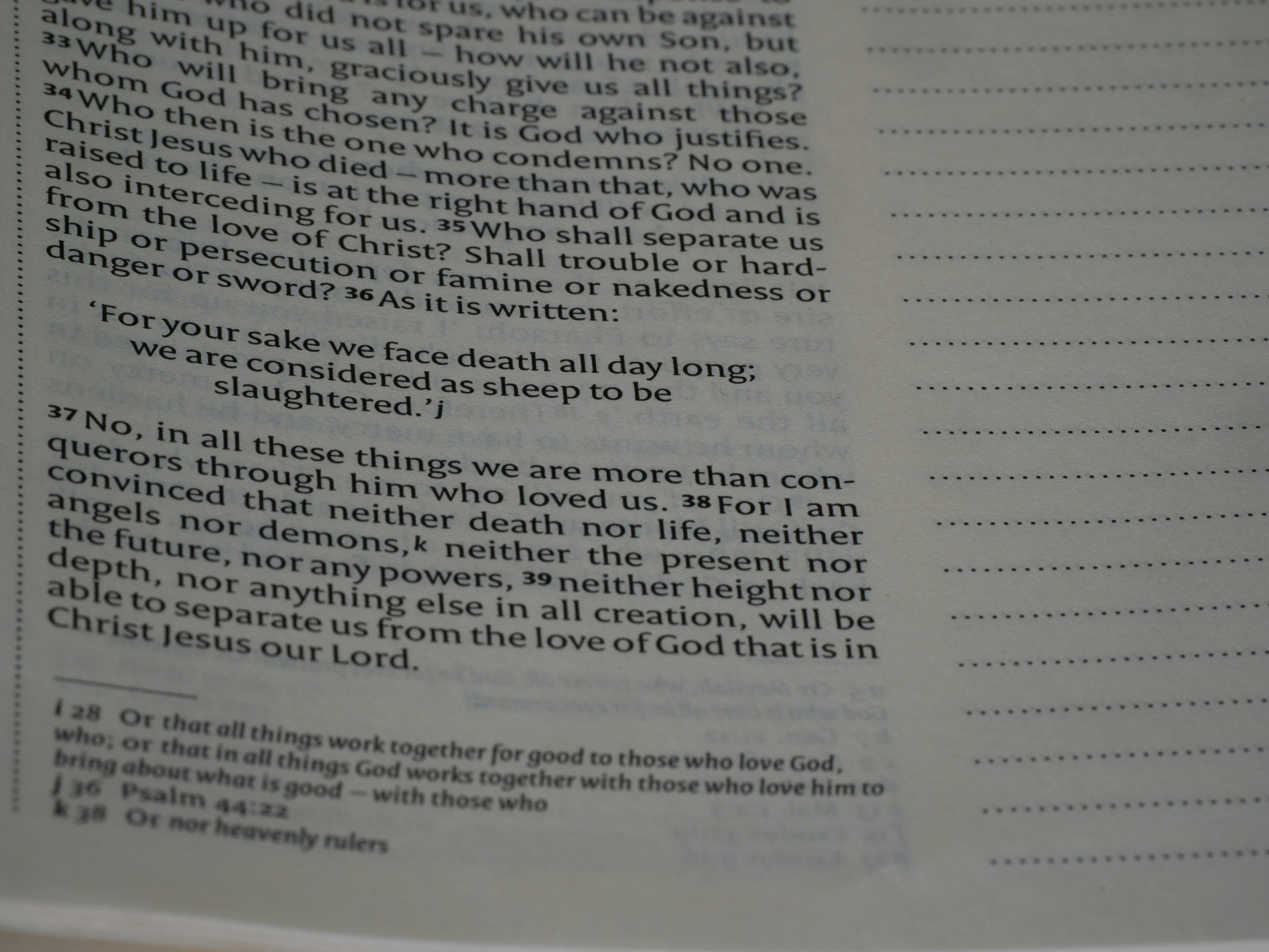 Photo by brett_jordan