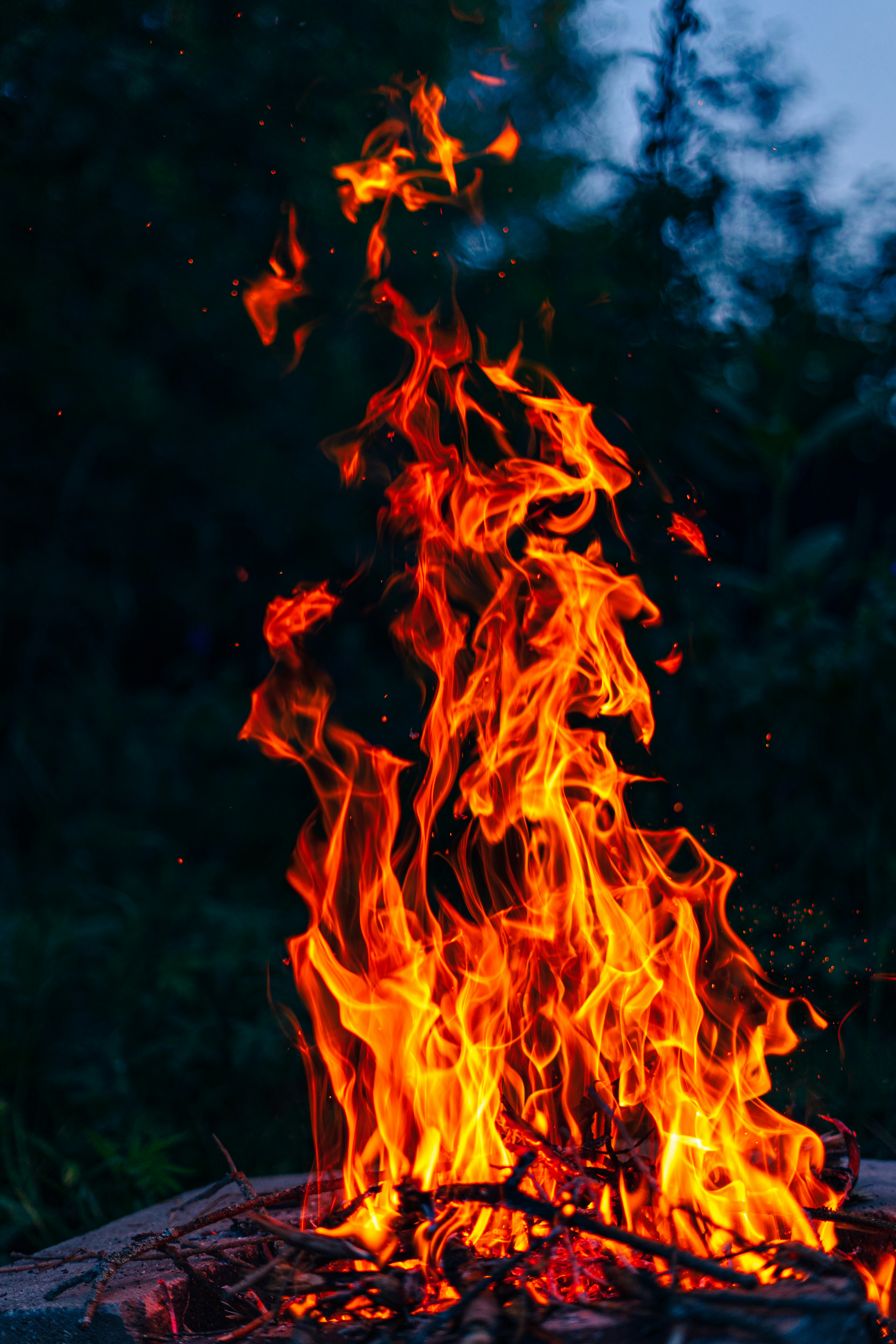 photo-1732199446346-046e400099f5?ixid=M3wxMjA3fDB8MXxzZWFyY2h8MTR8fGVsZGVuJTIwcmluZyUyMGJvc3Nlc3xlbnwwfHx8fDE3NjIzNzczNjR8MA\u0026ixlib=rb-4.1.0