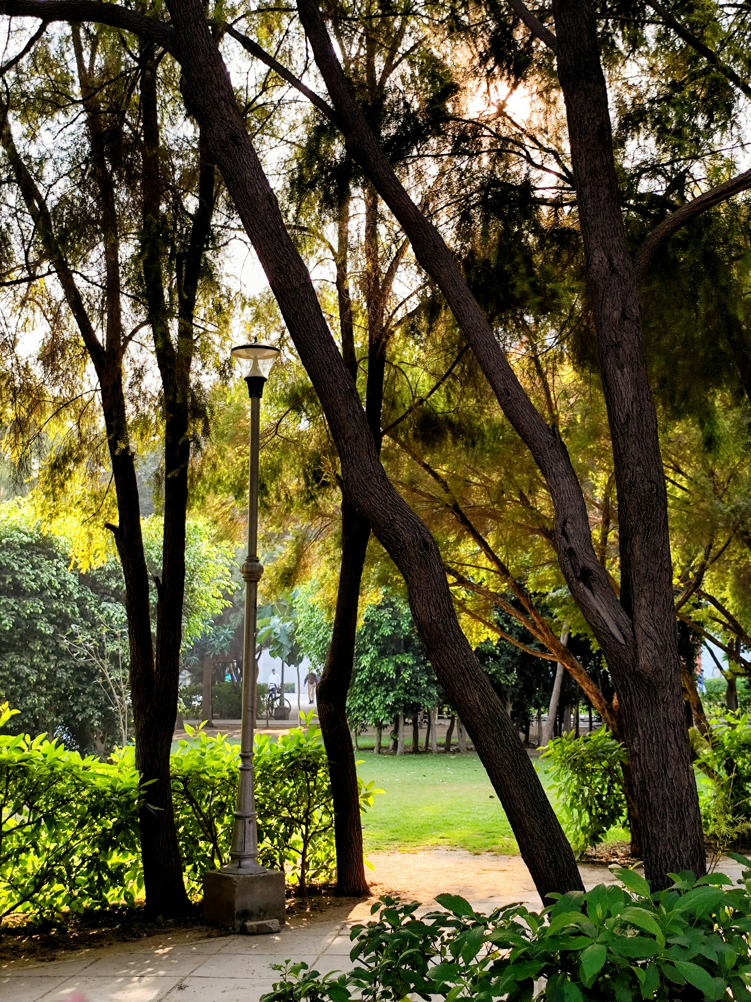 Photo by dashagrivah