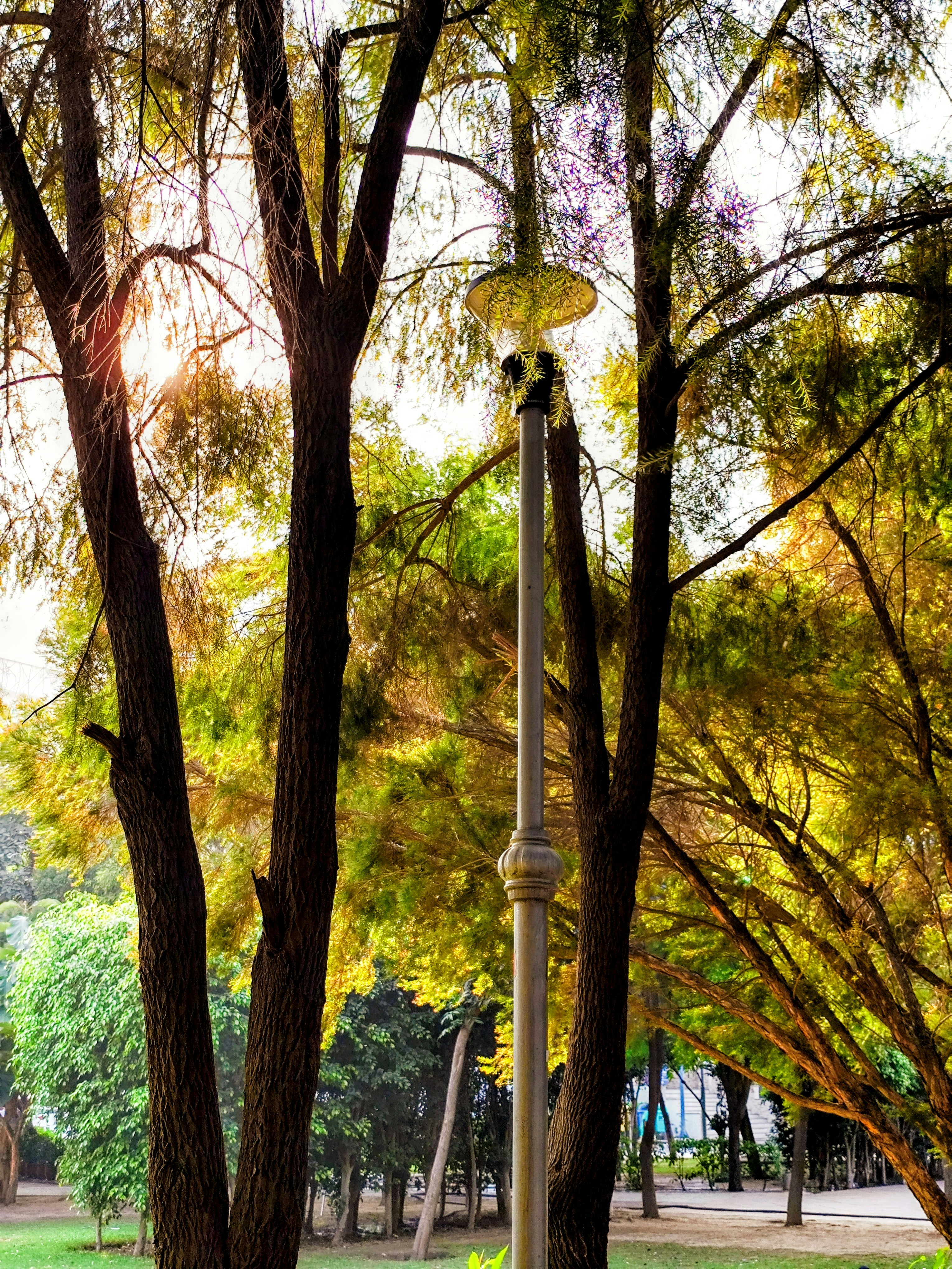 Photo by dashagrivah