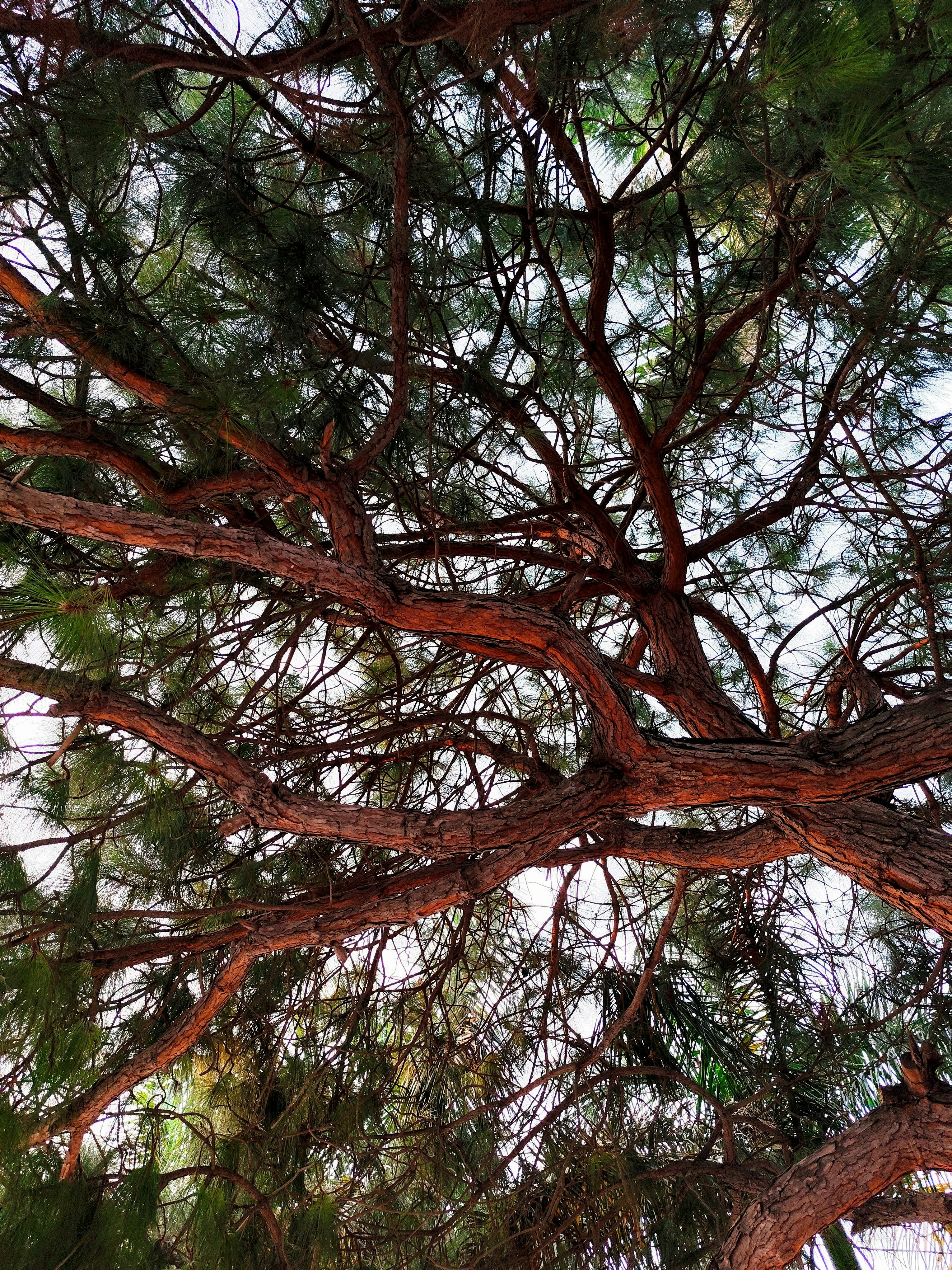 Photo by dashagrivah