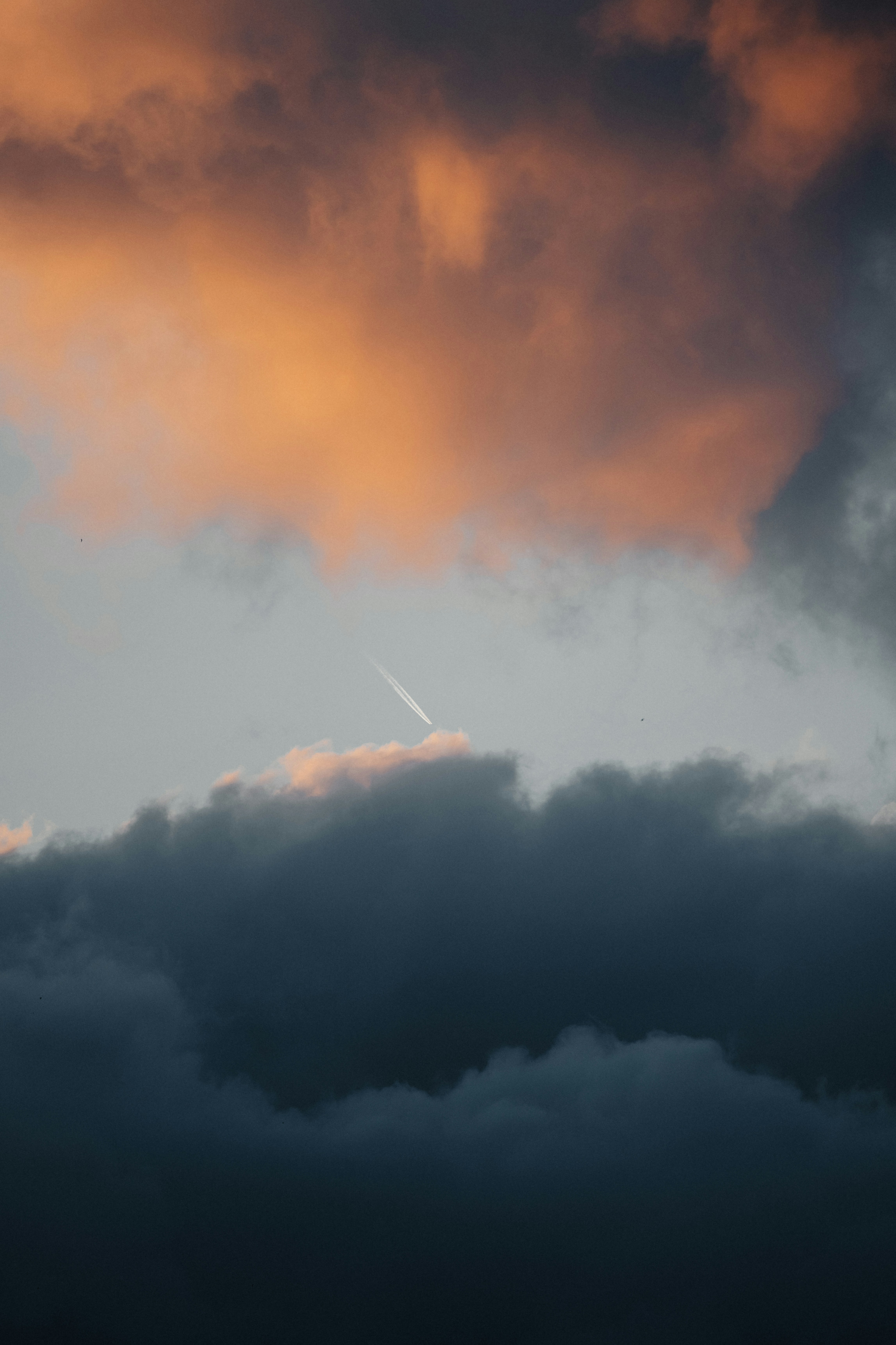 Daily Productive Sharing 1118 - Learning Multiple Languages