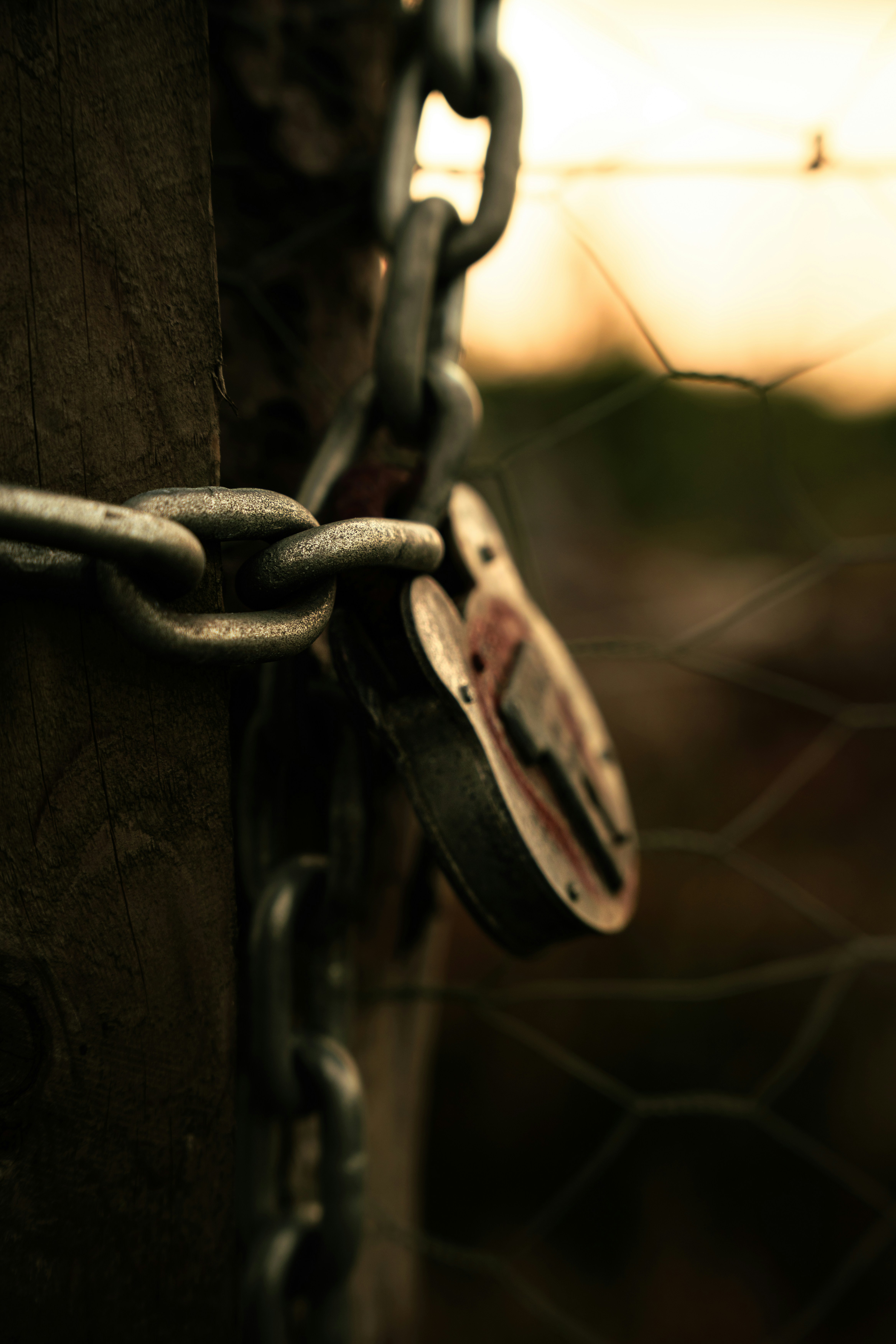 Photo by alexisnthere_