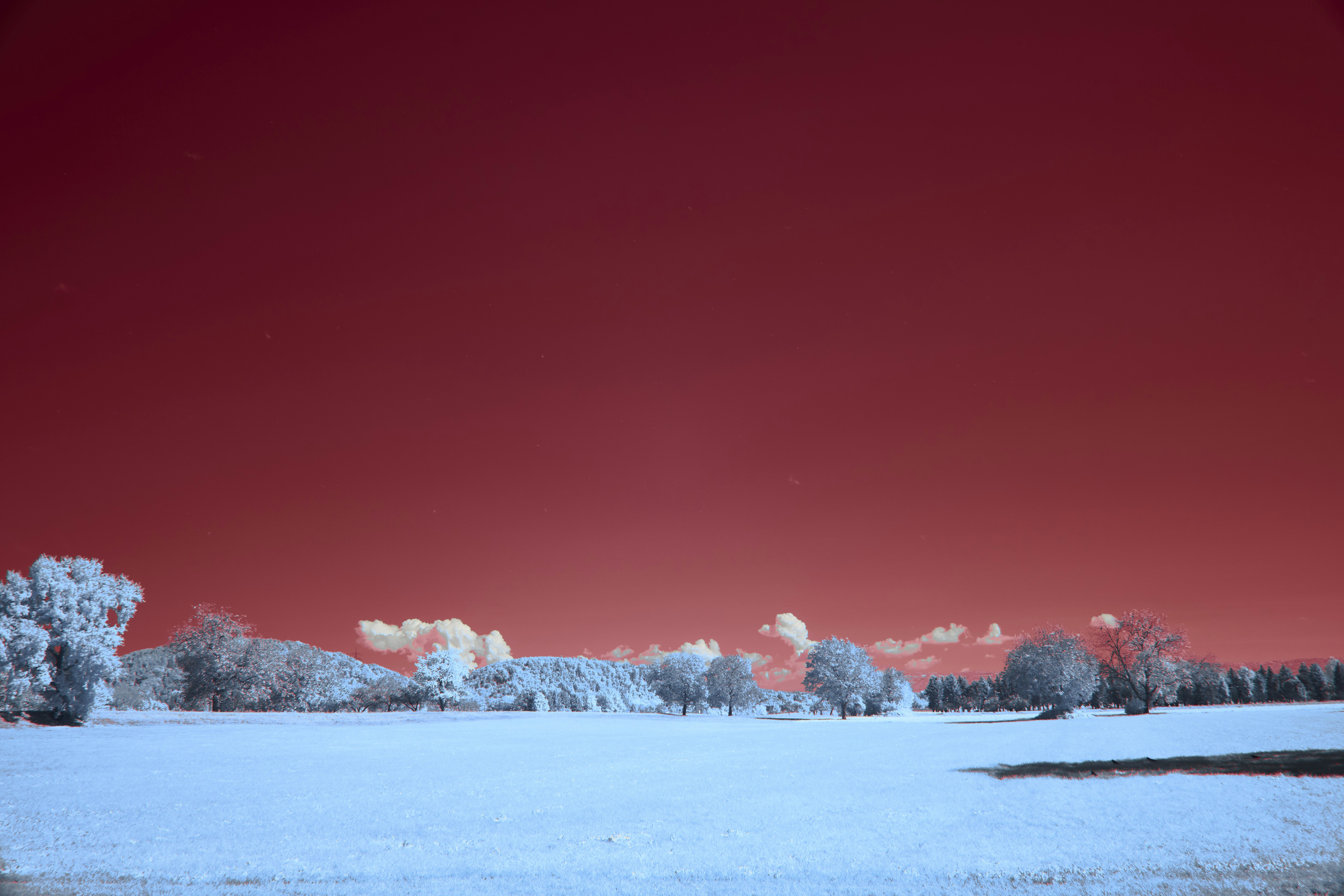 Photo by wolfgang_hasselmann