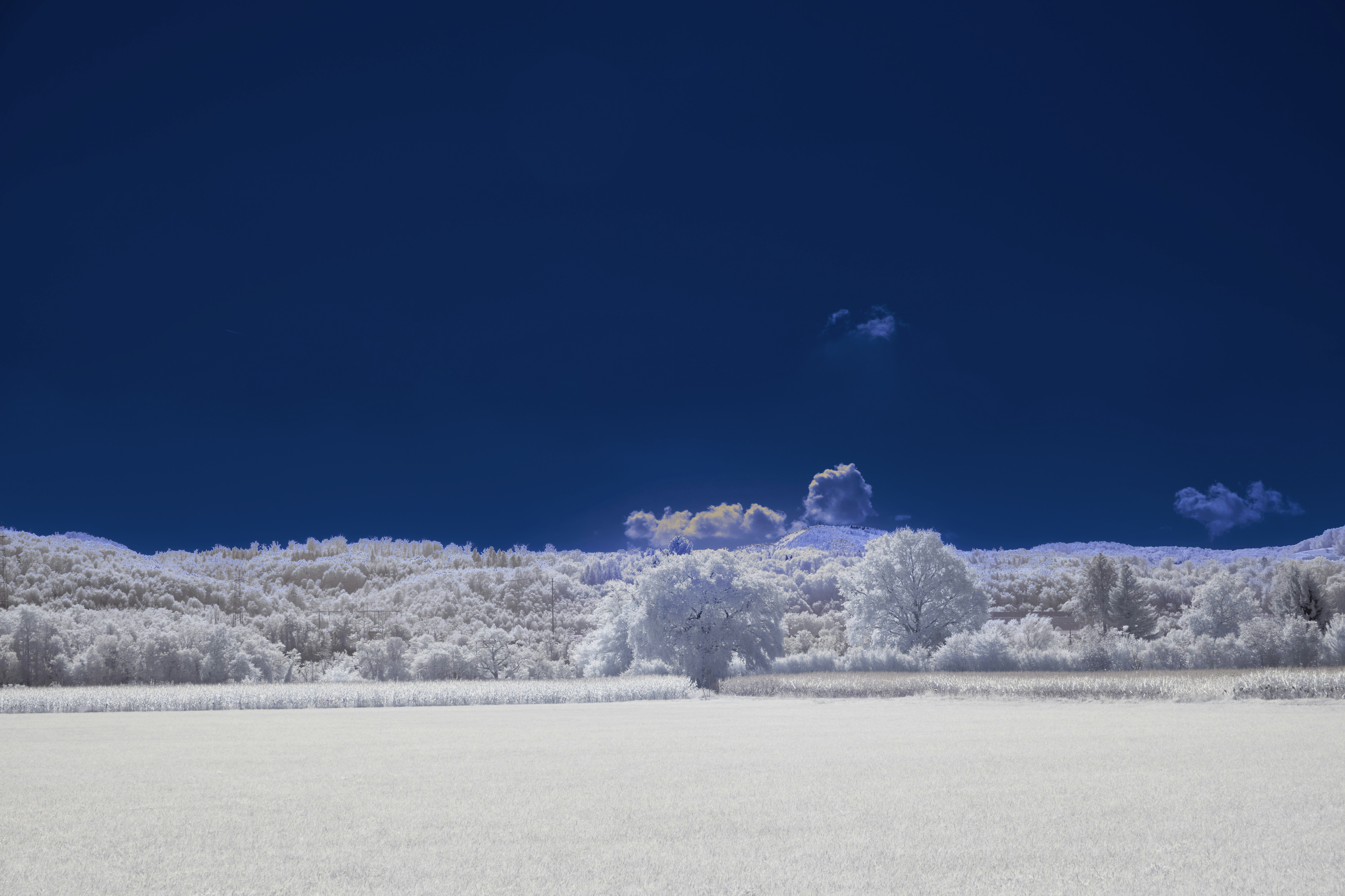 Photo by wolfgang_hasselmann