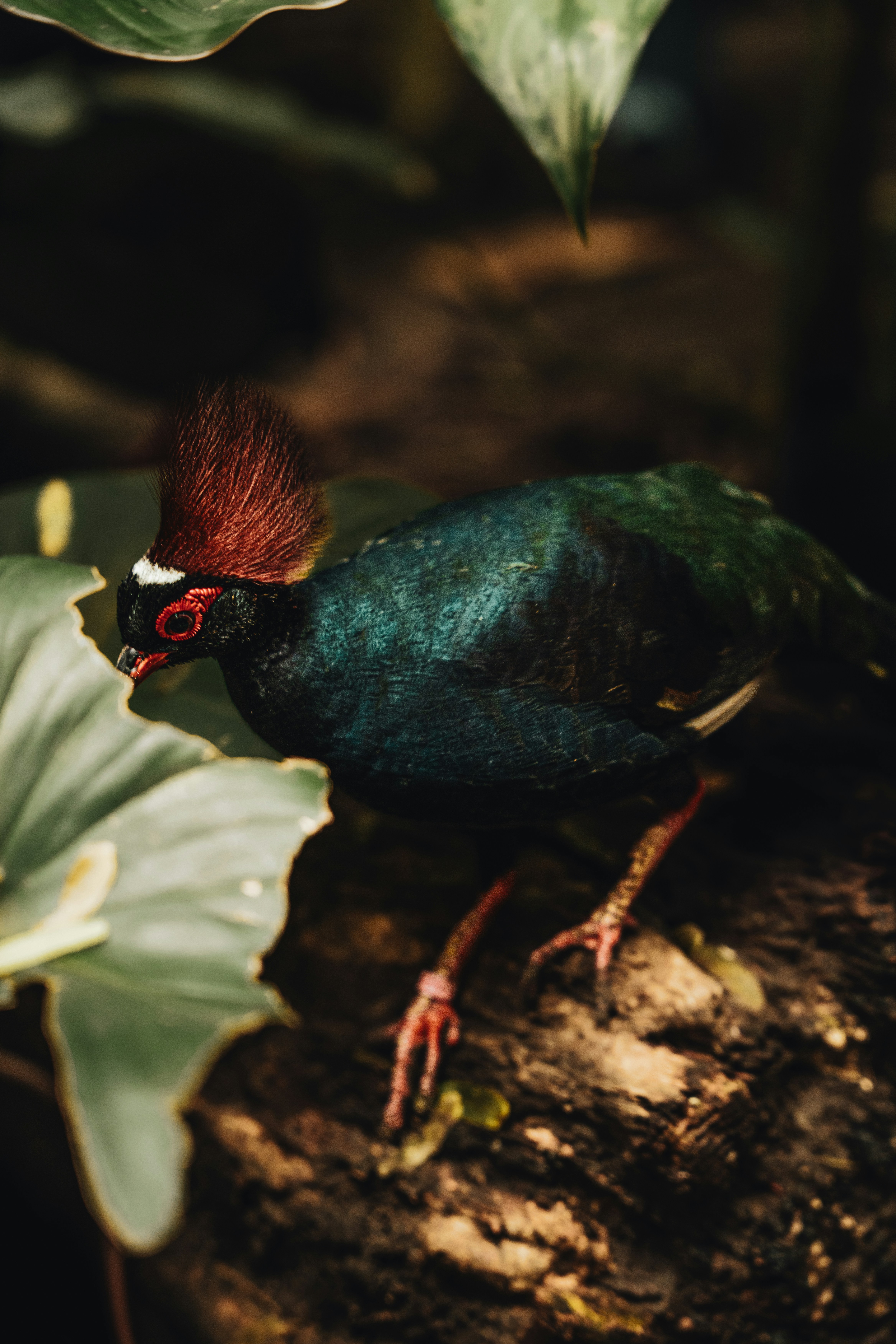 Photo by alexisnthere_