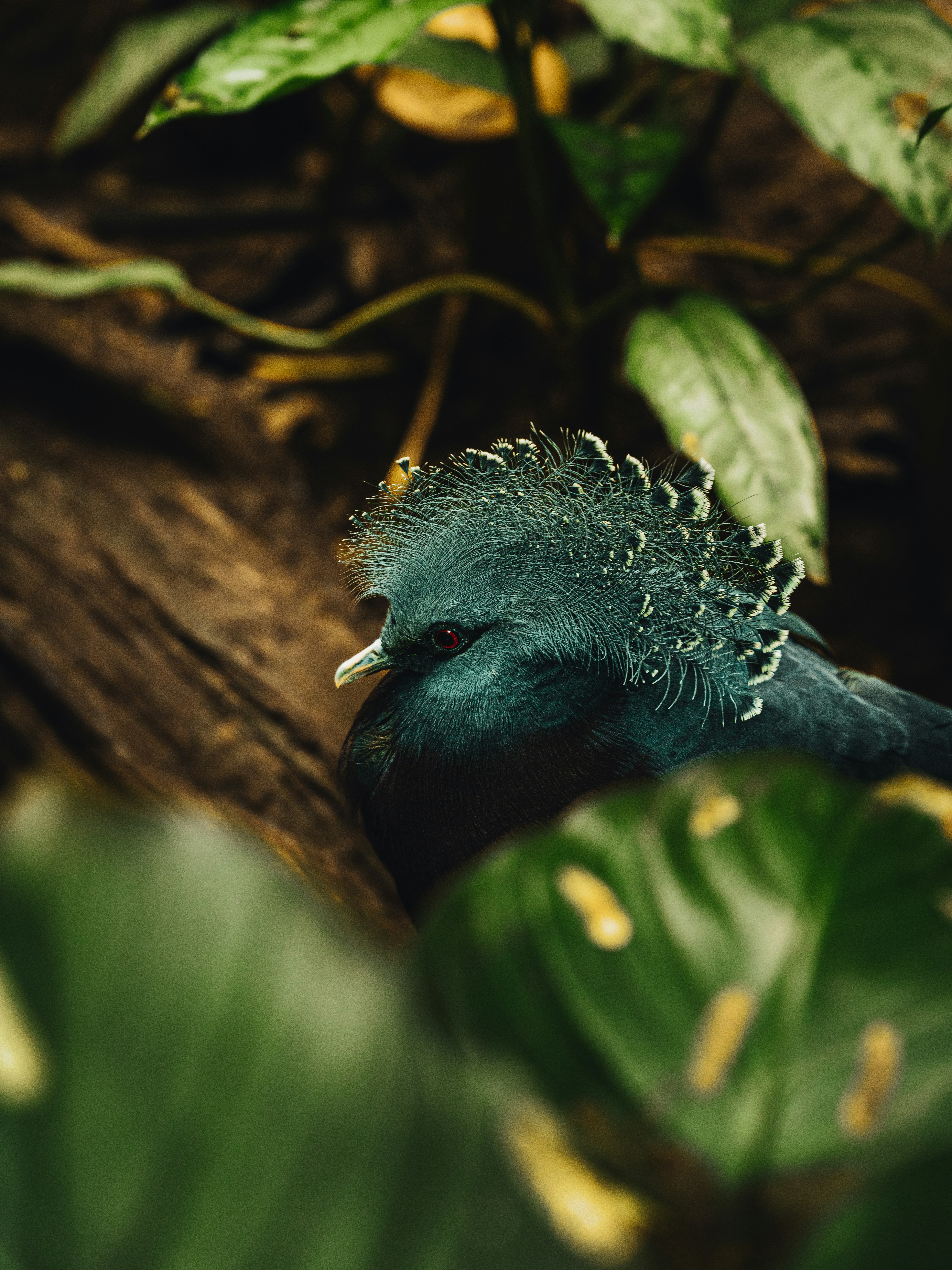 Photo by alexisnthere_