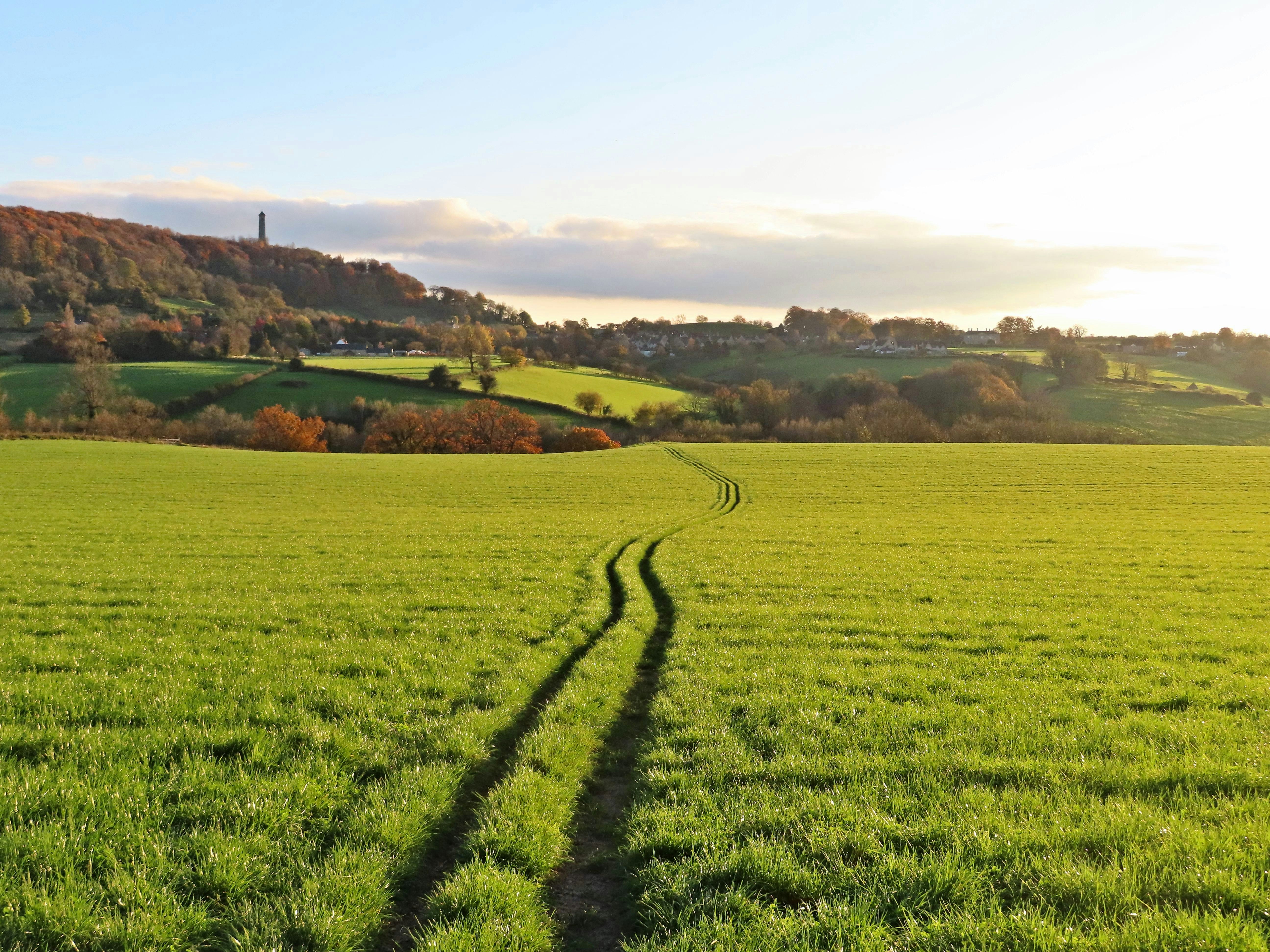 A green field with a trail in the middle of it