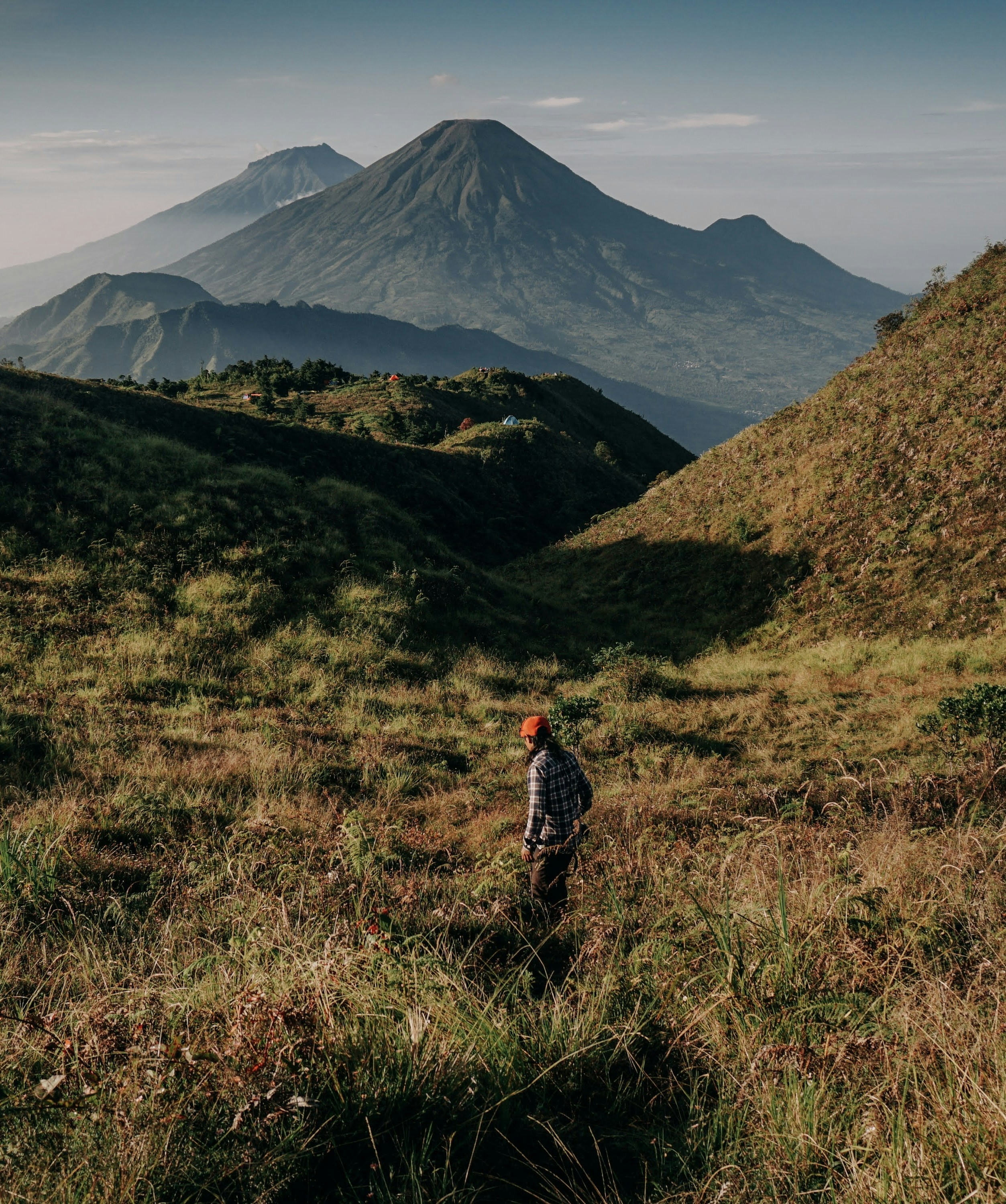 A man standing on top of a lush green hillside