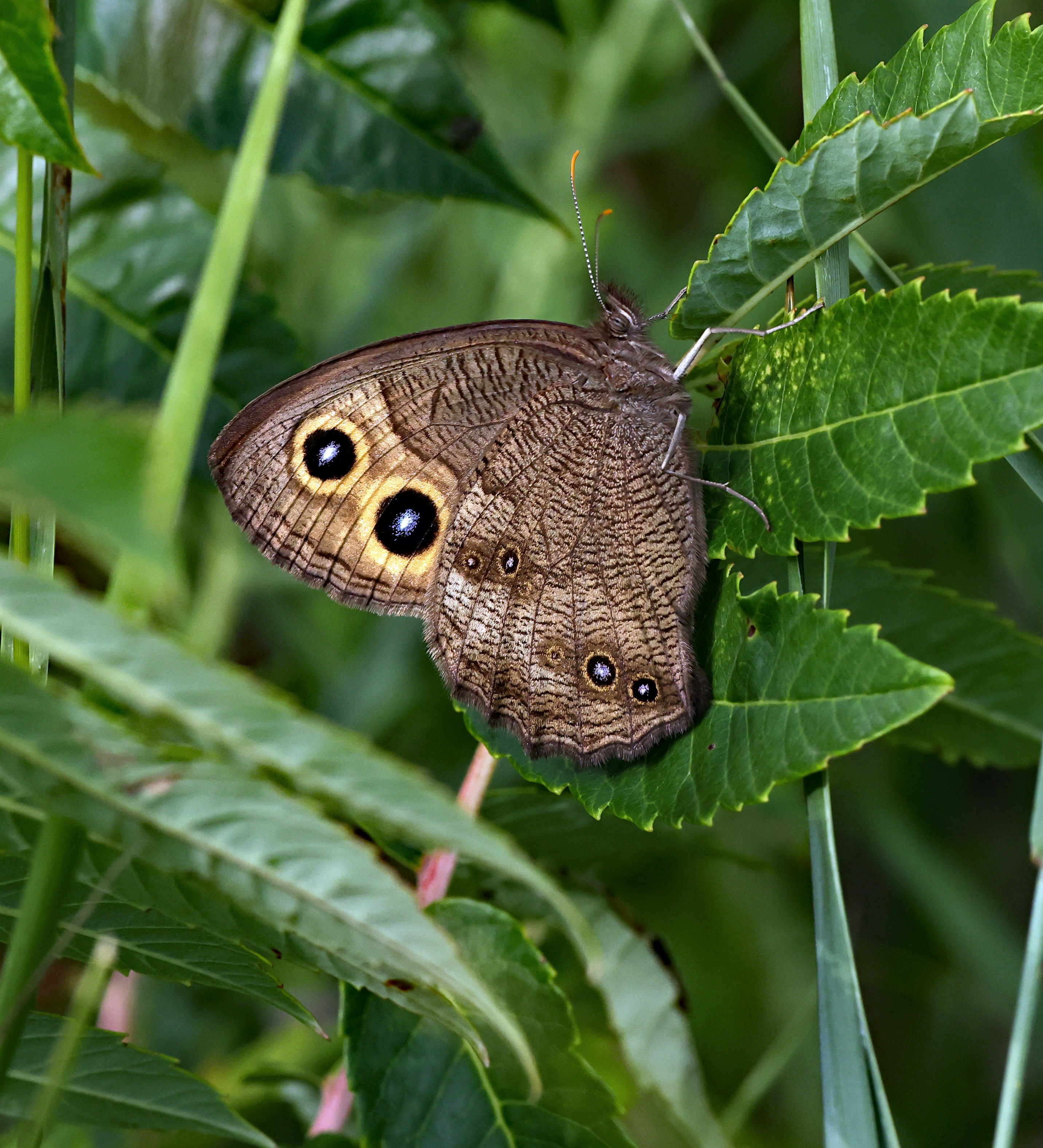 Photo by telliottmbamsc