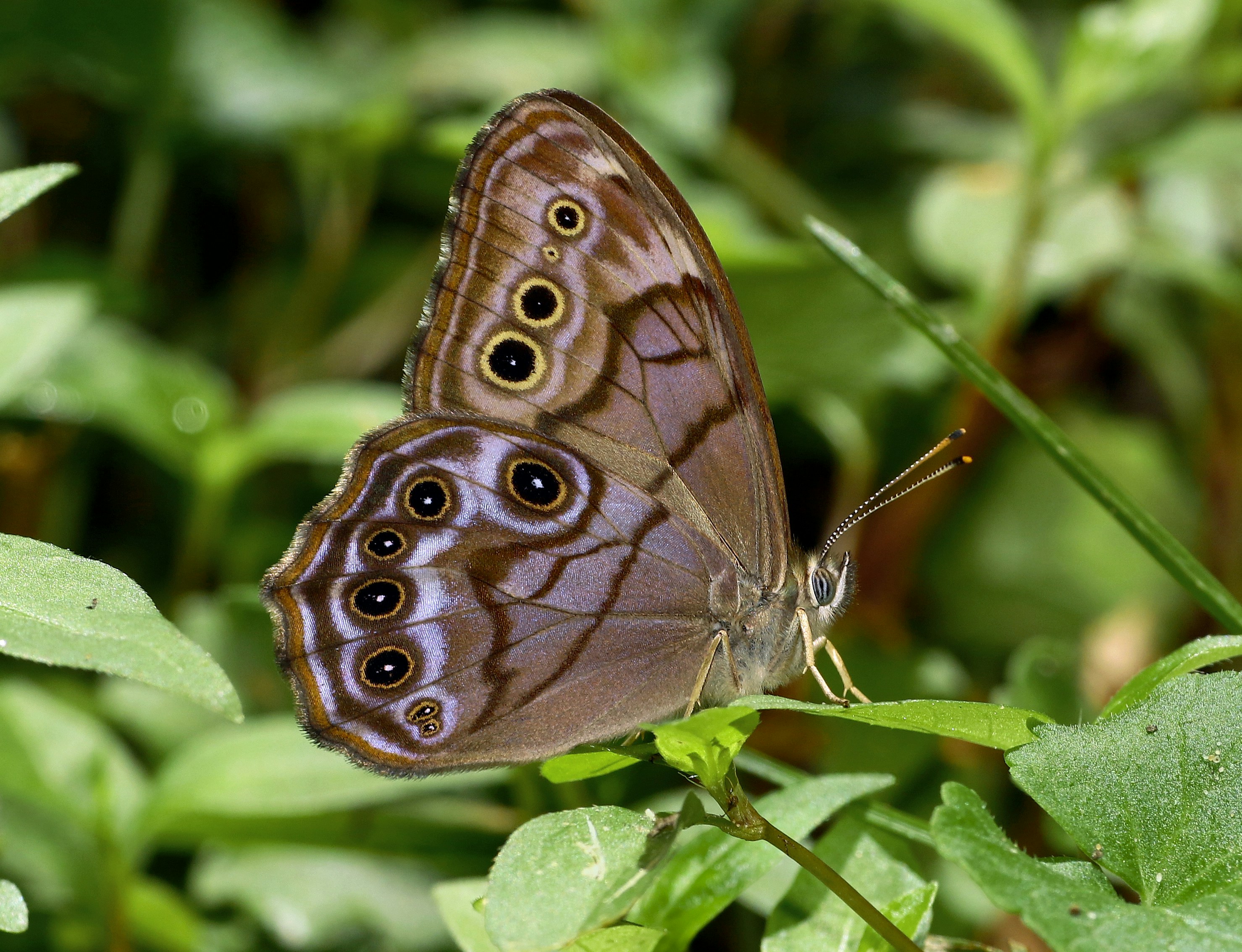 Photo by telliottmbamsc