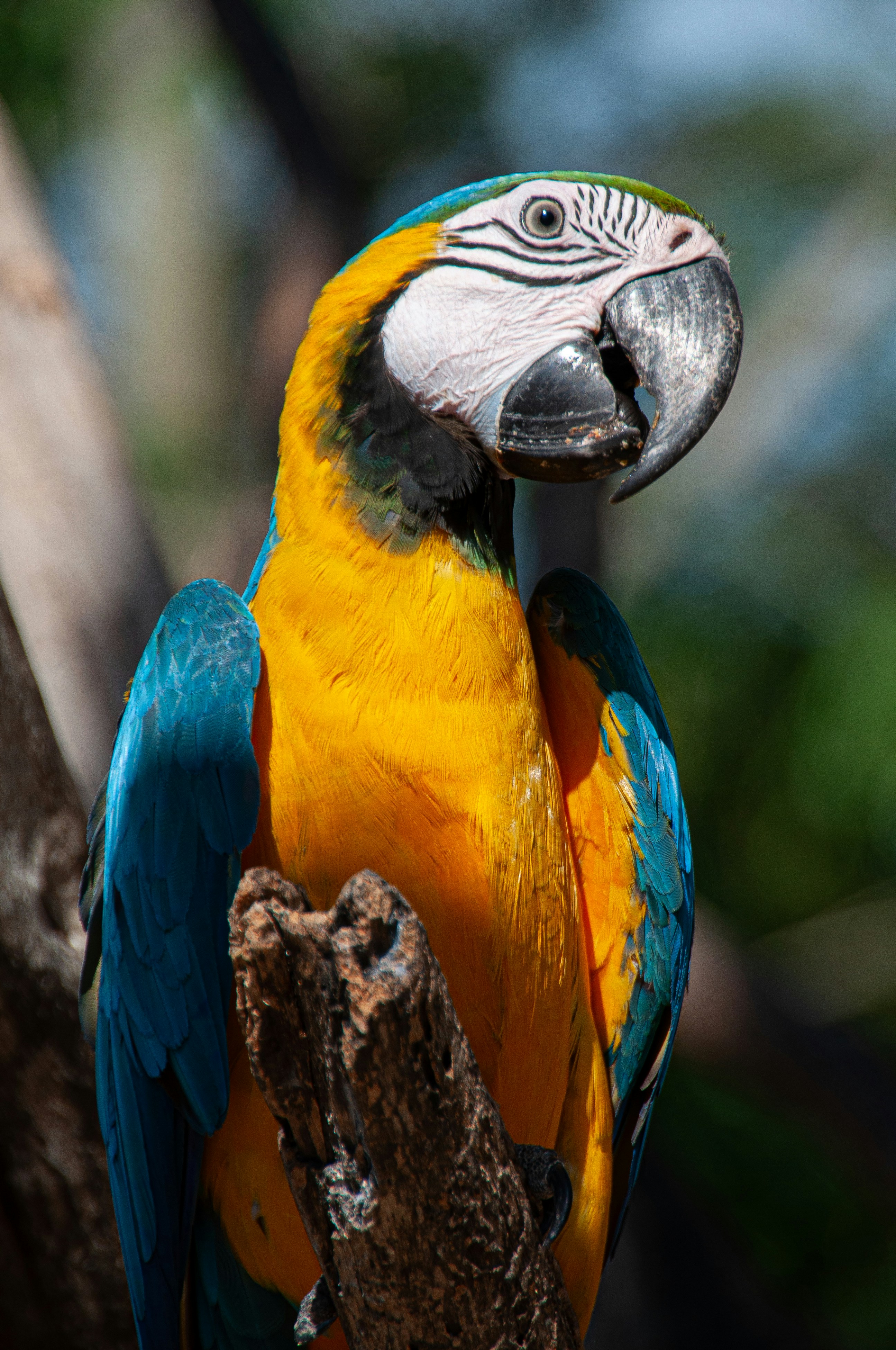 Photo by ericgilbertsen