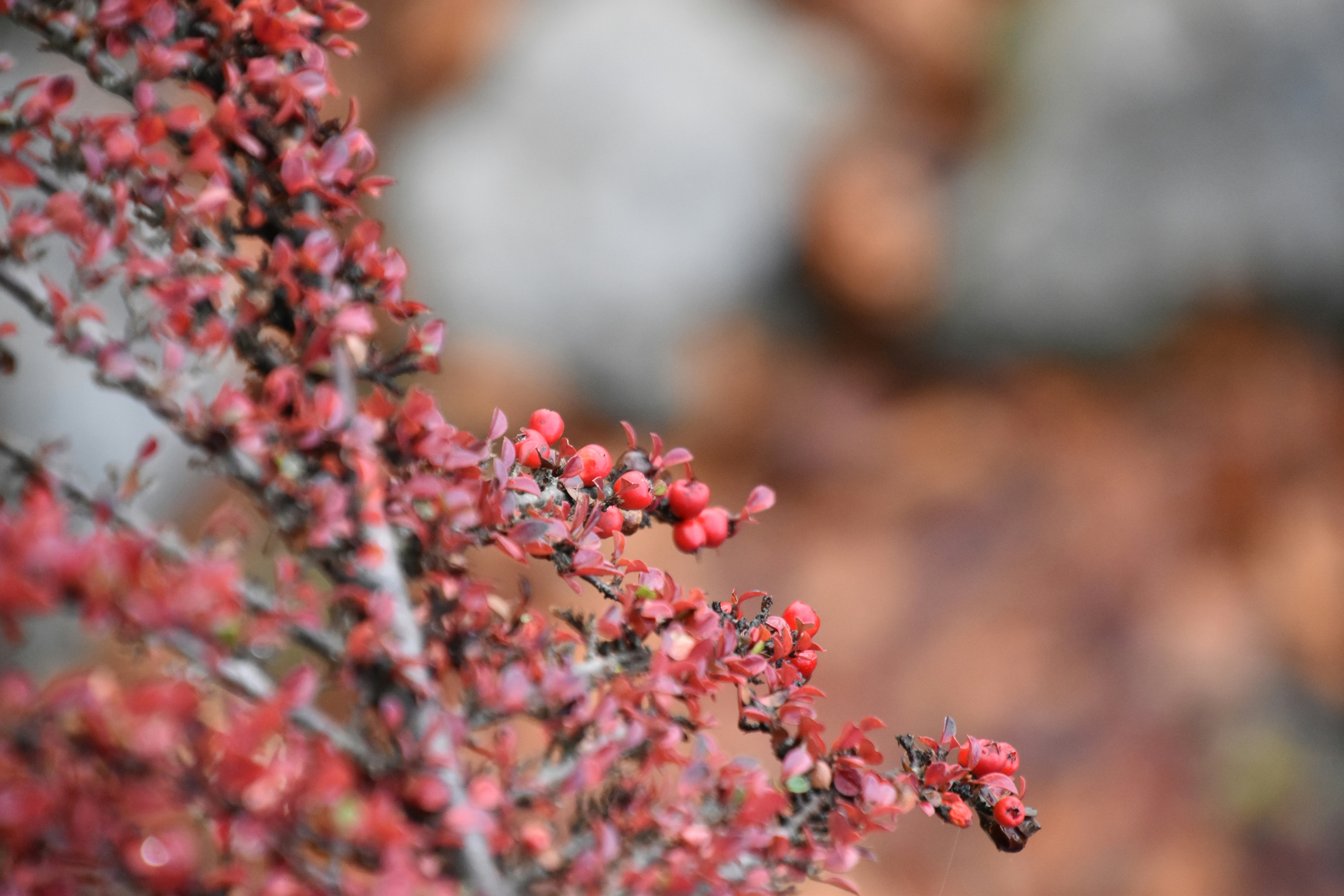 Photo by tanteemmaladen