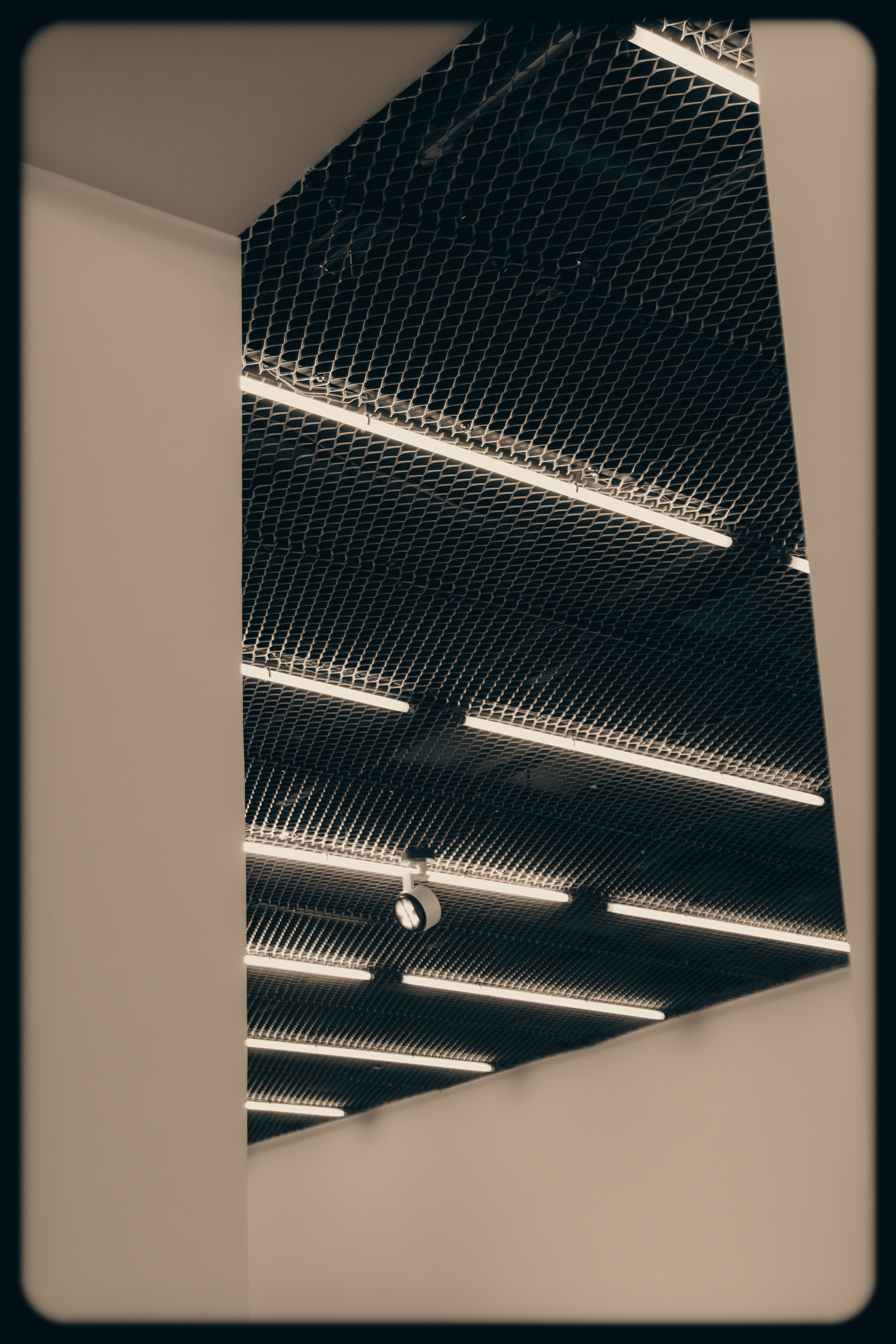 A black and white photo of a ceiling
