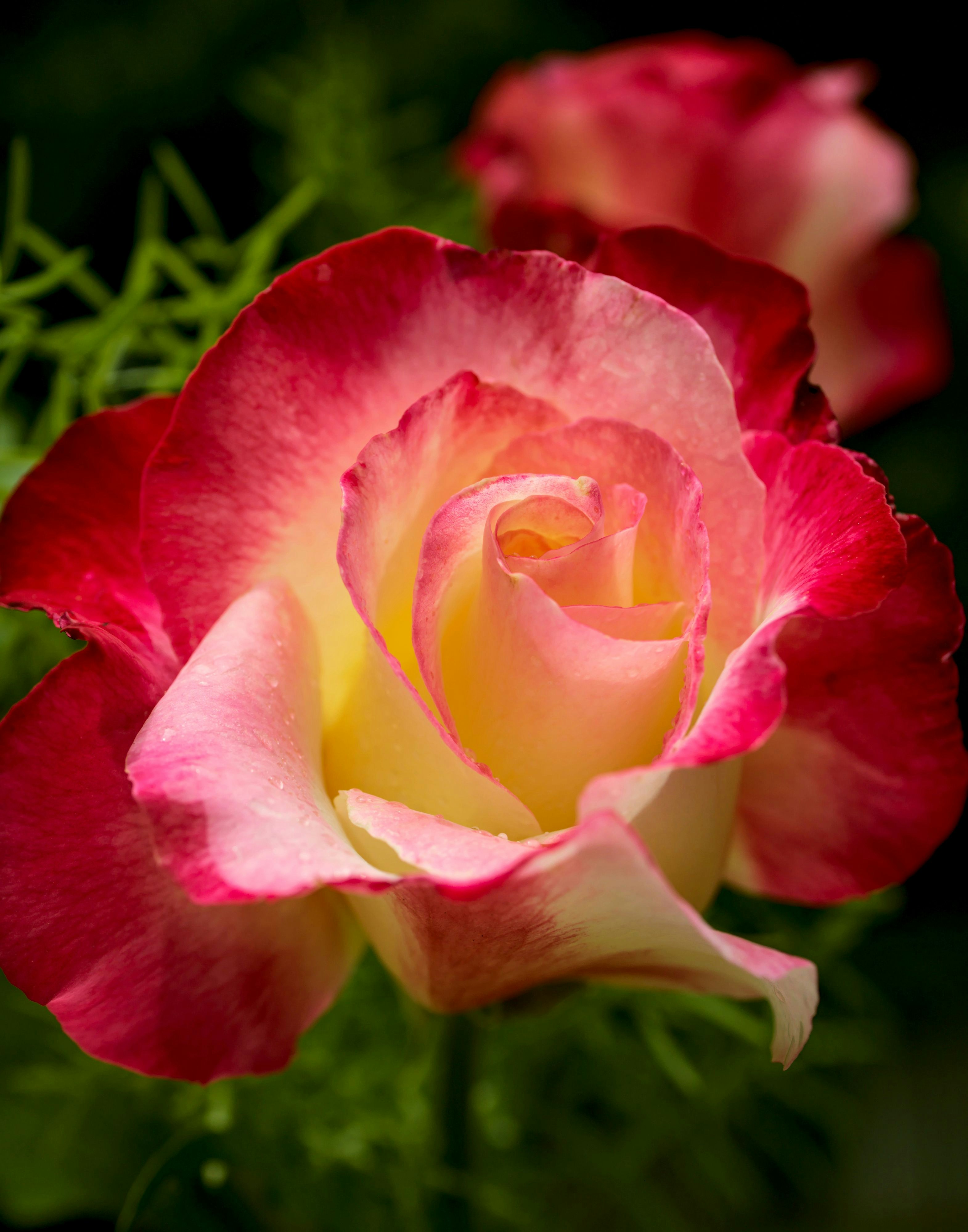 Photo by randomthinking