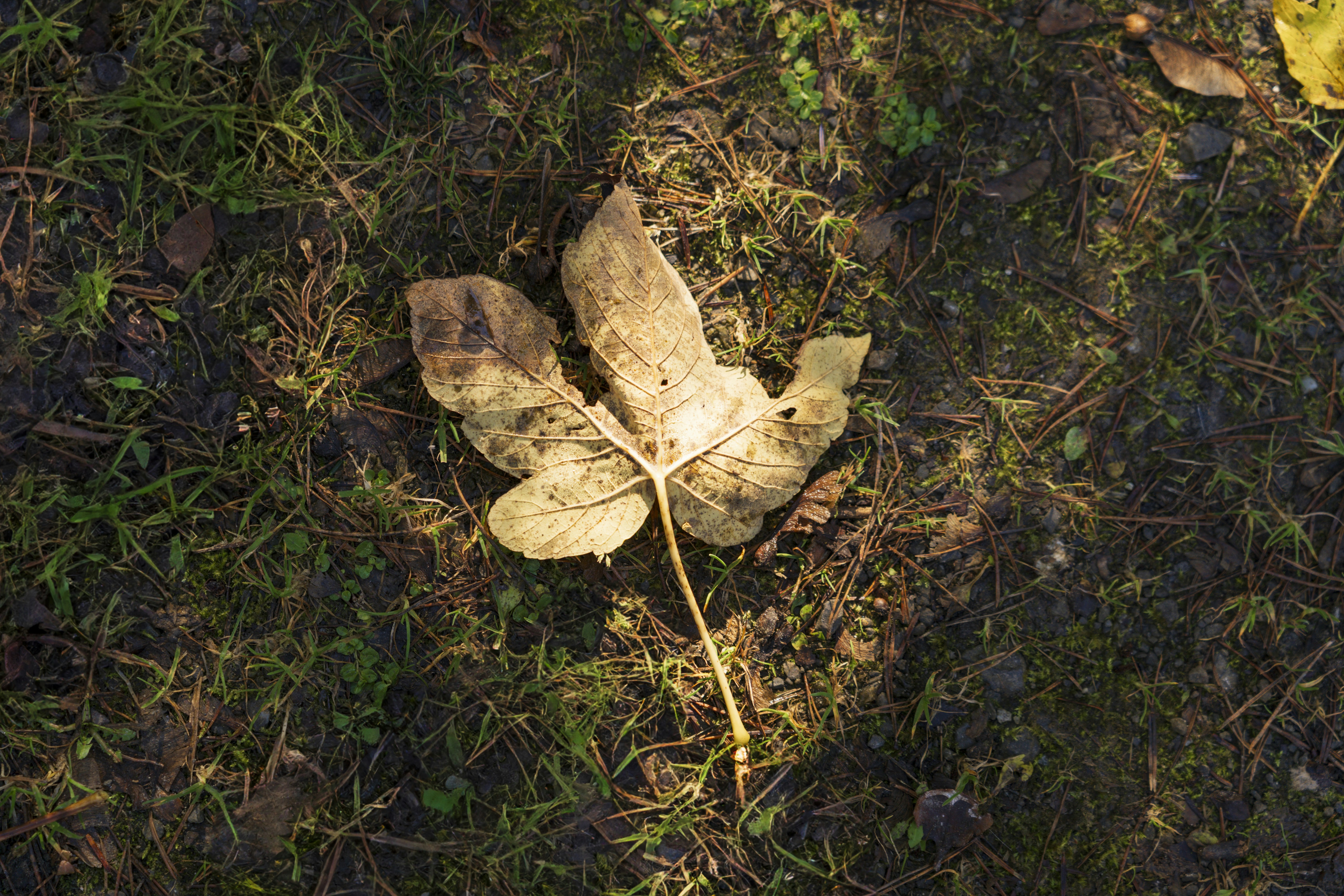 Photo by maxbuergi