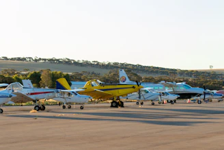 A group of small planes parked on a runway