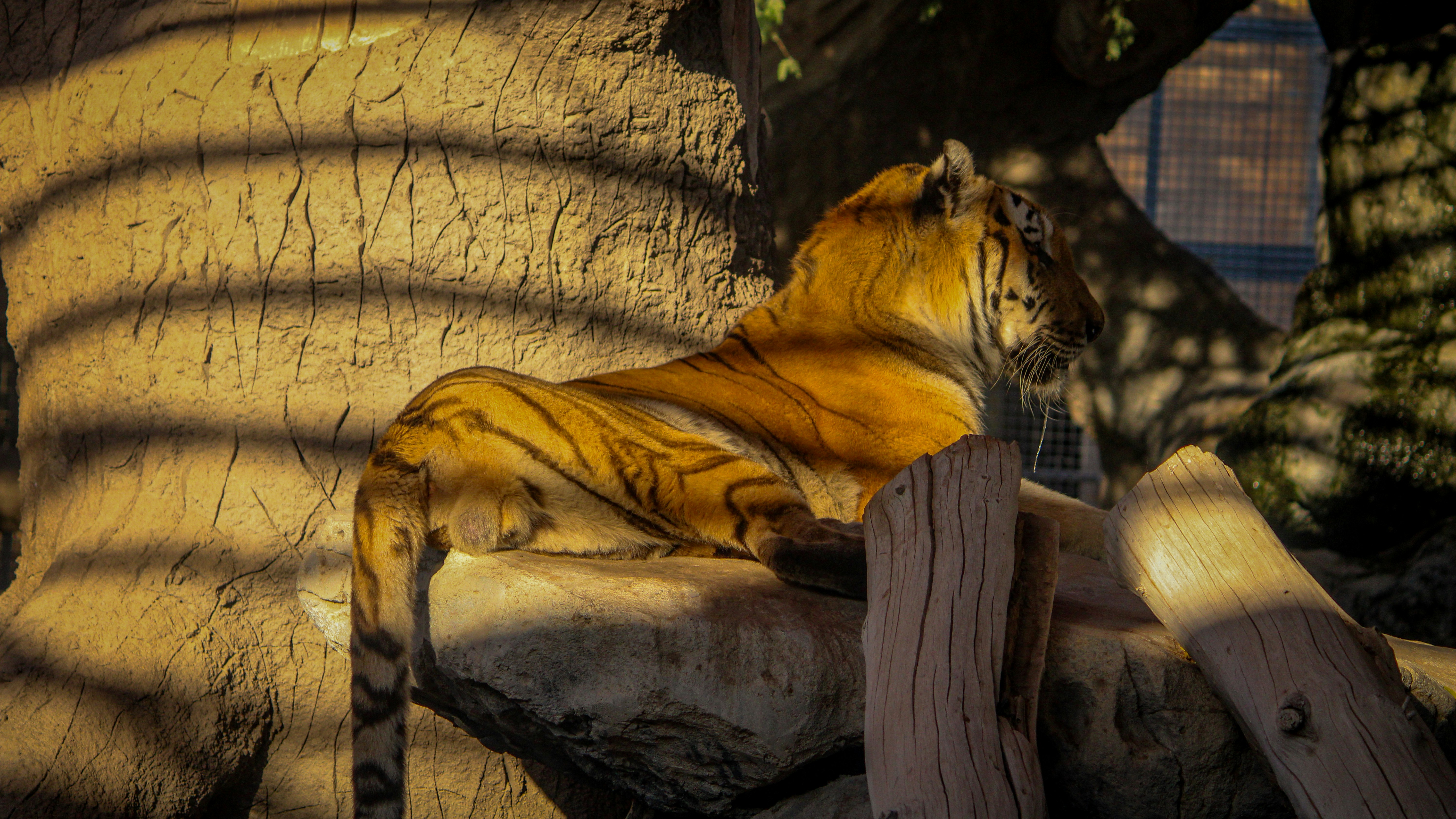 19. Seeking Out Sunbeams (image credits: unsplash)