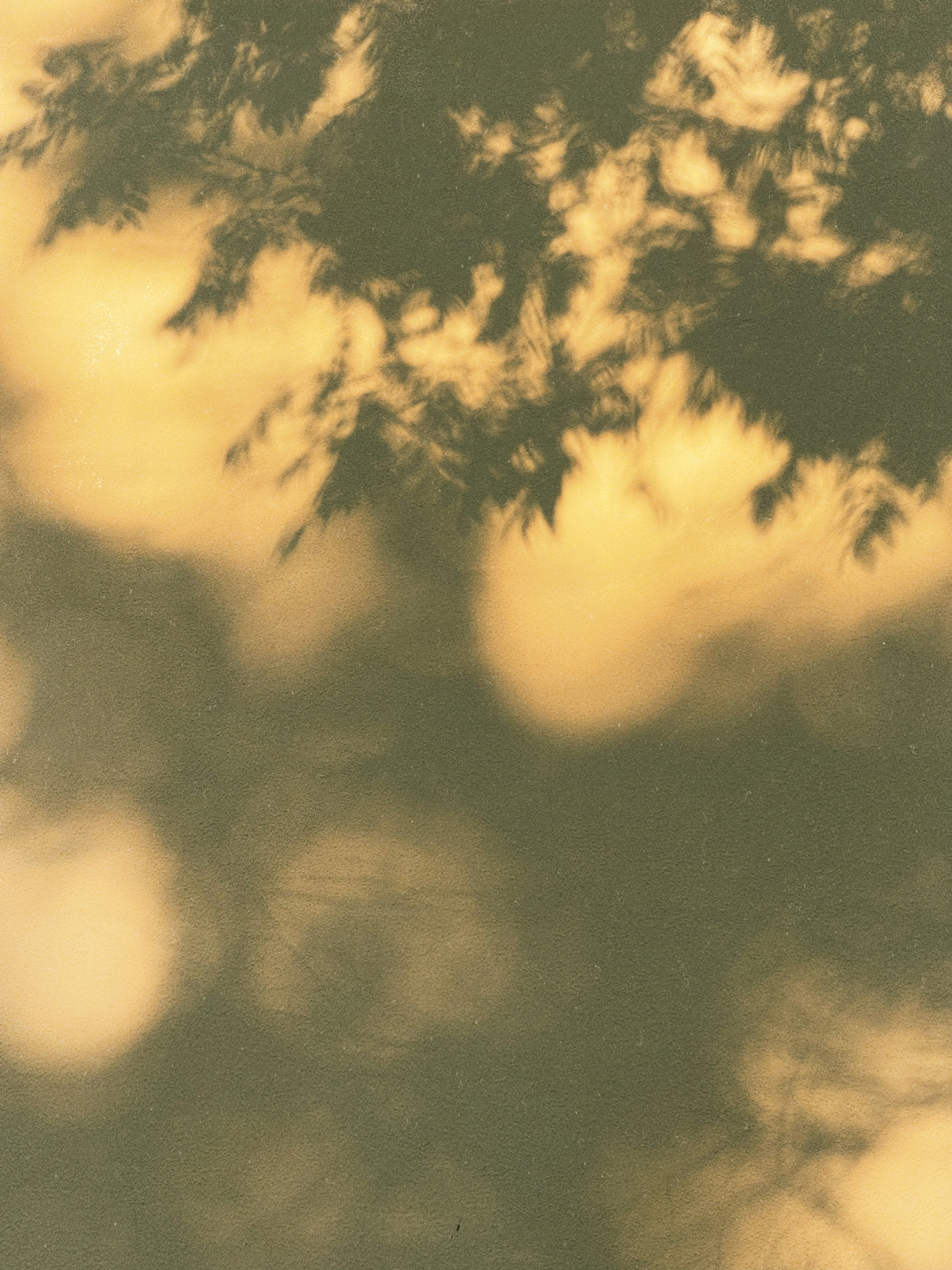 Photo by inna_lobacheva