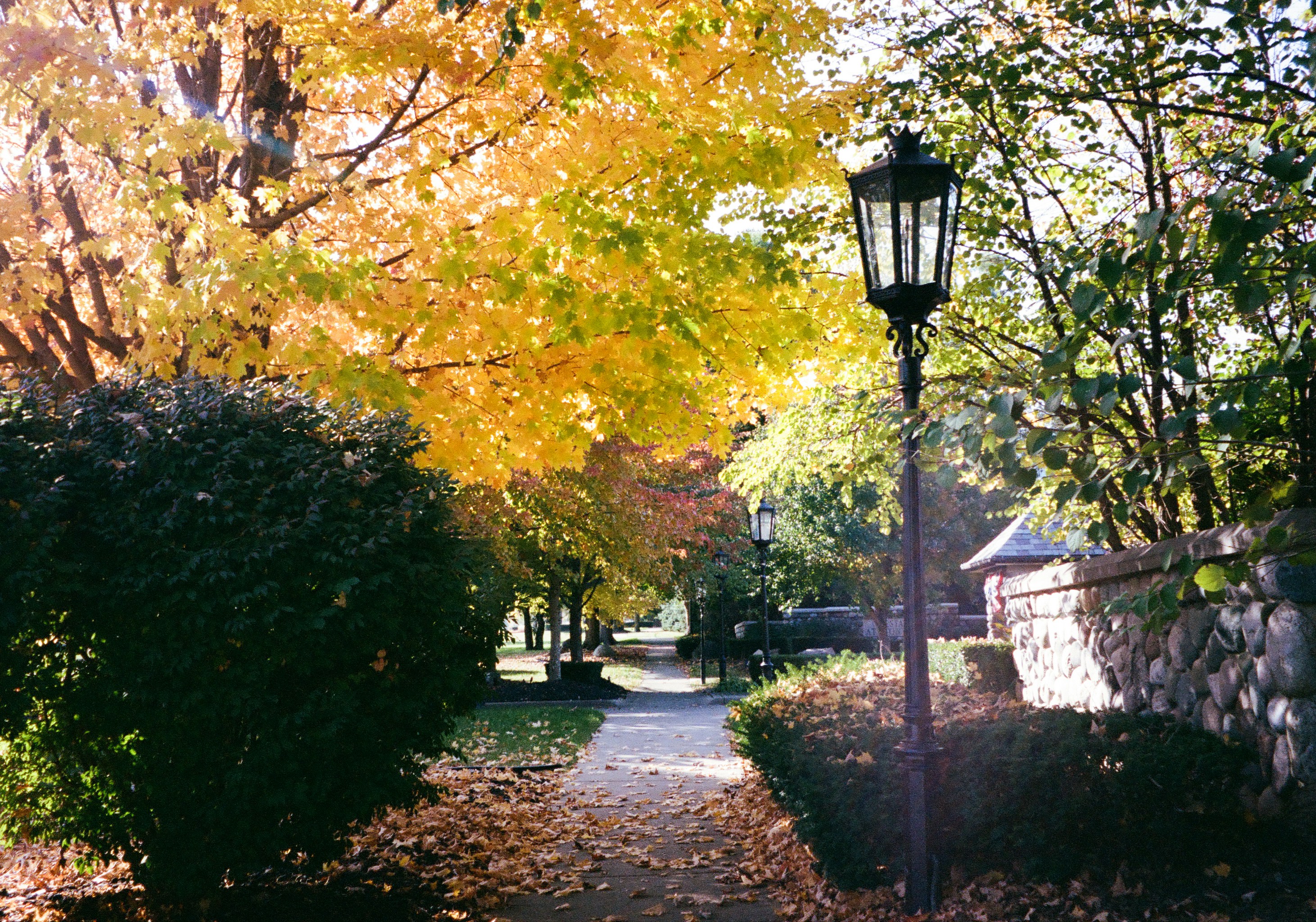 Photo by savannascott