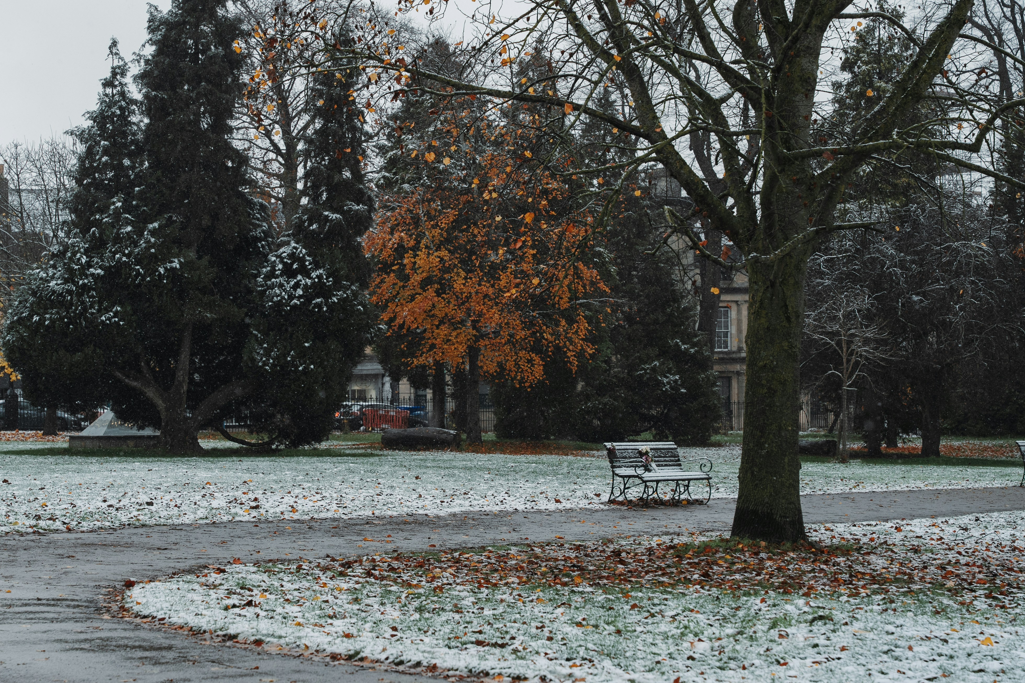 Cheriton Park