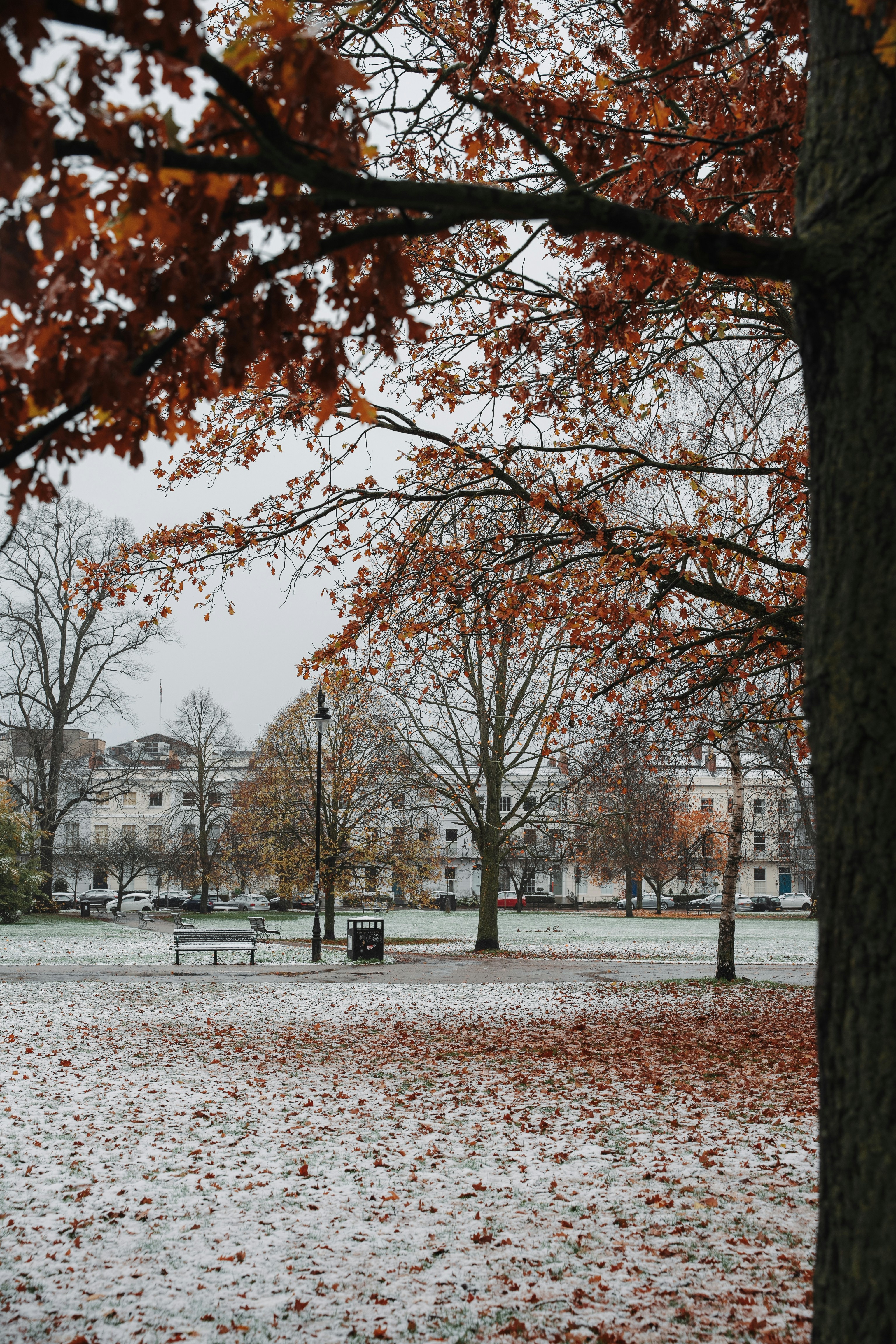 Photo by sophiegerrie