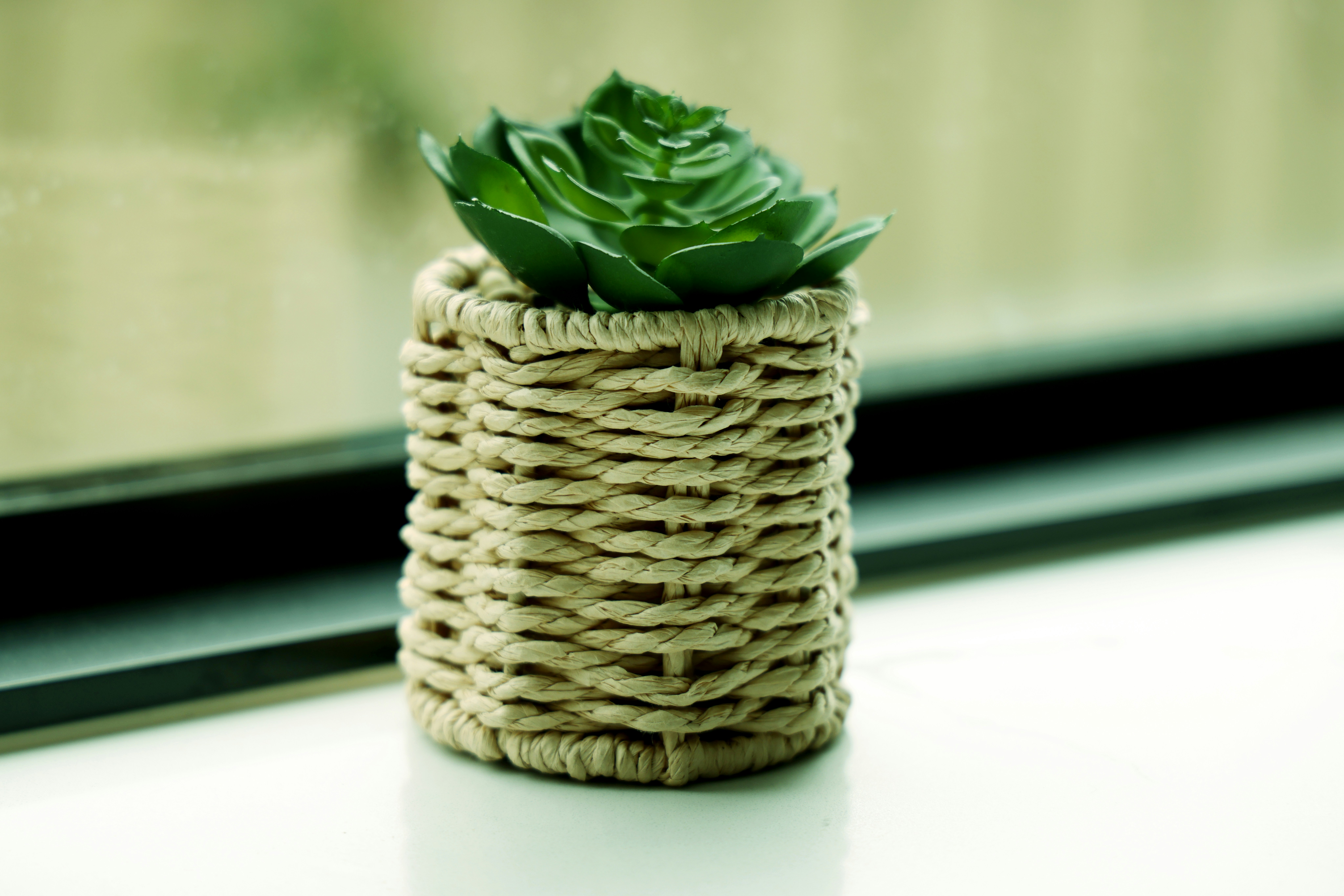 Photo by the_bhullar