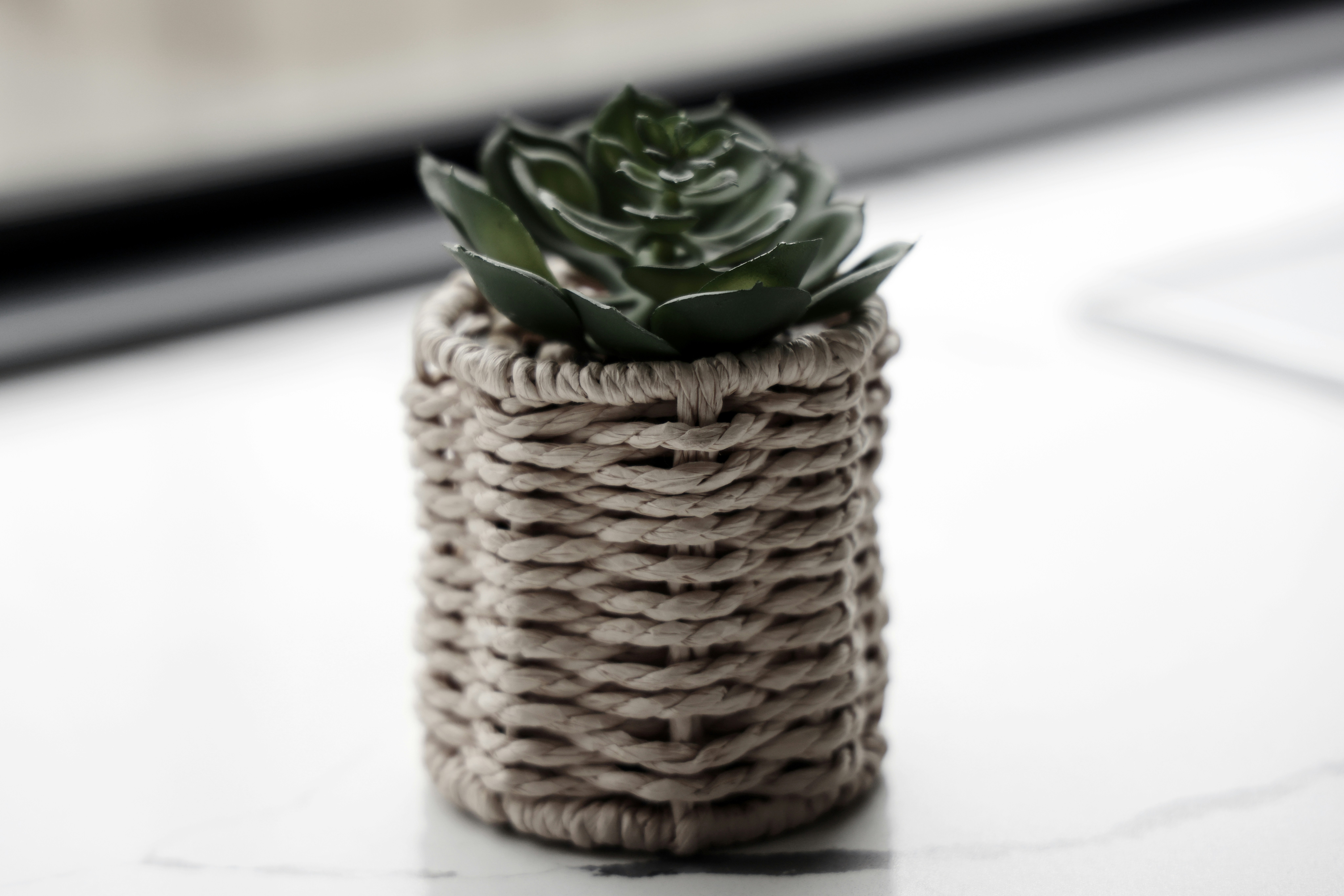 Photo by the_bhullar