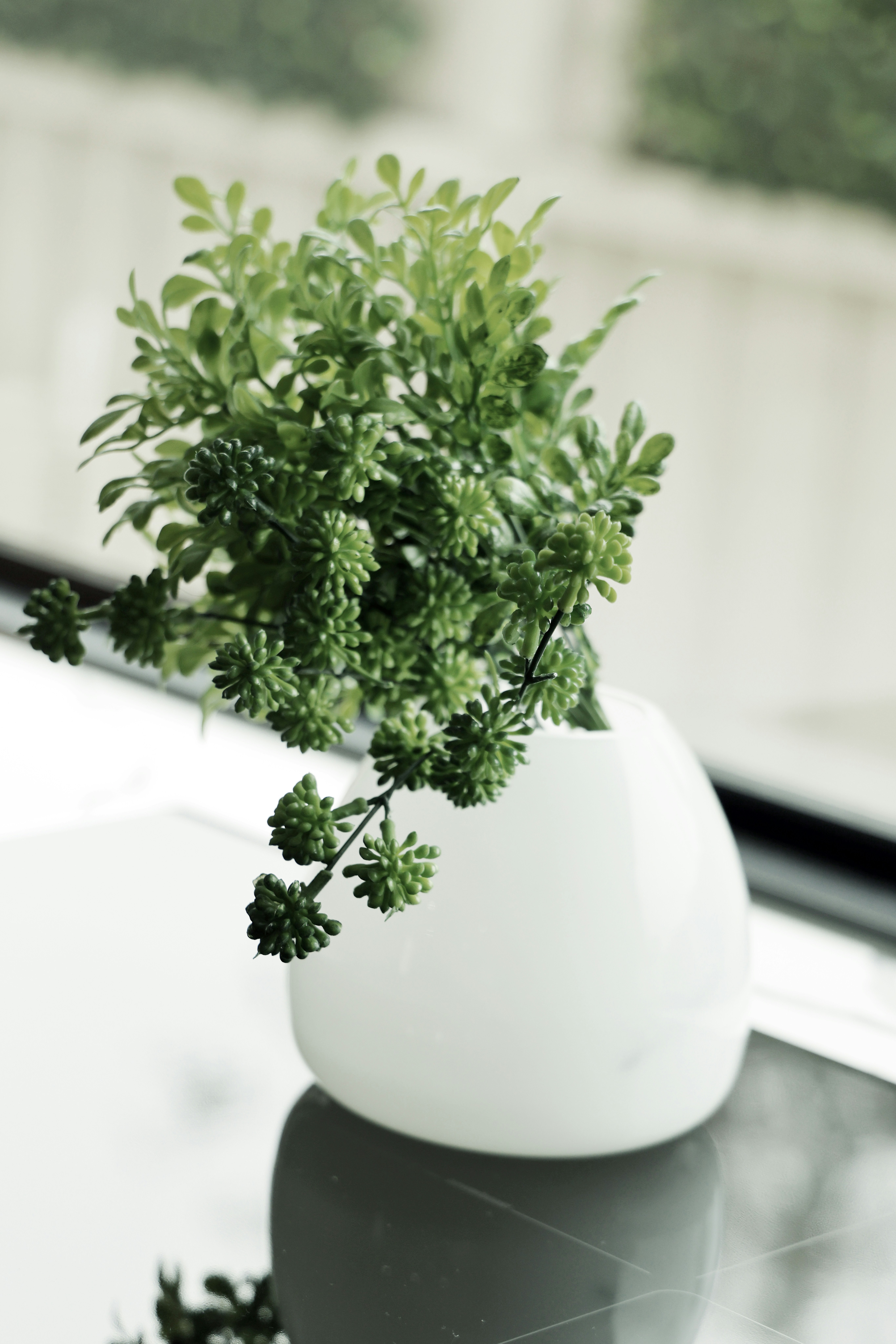 Photo by the_bhullar