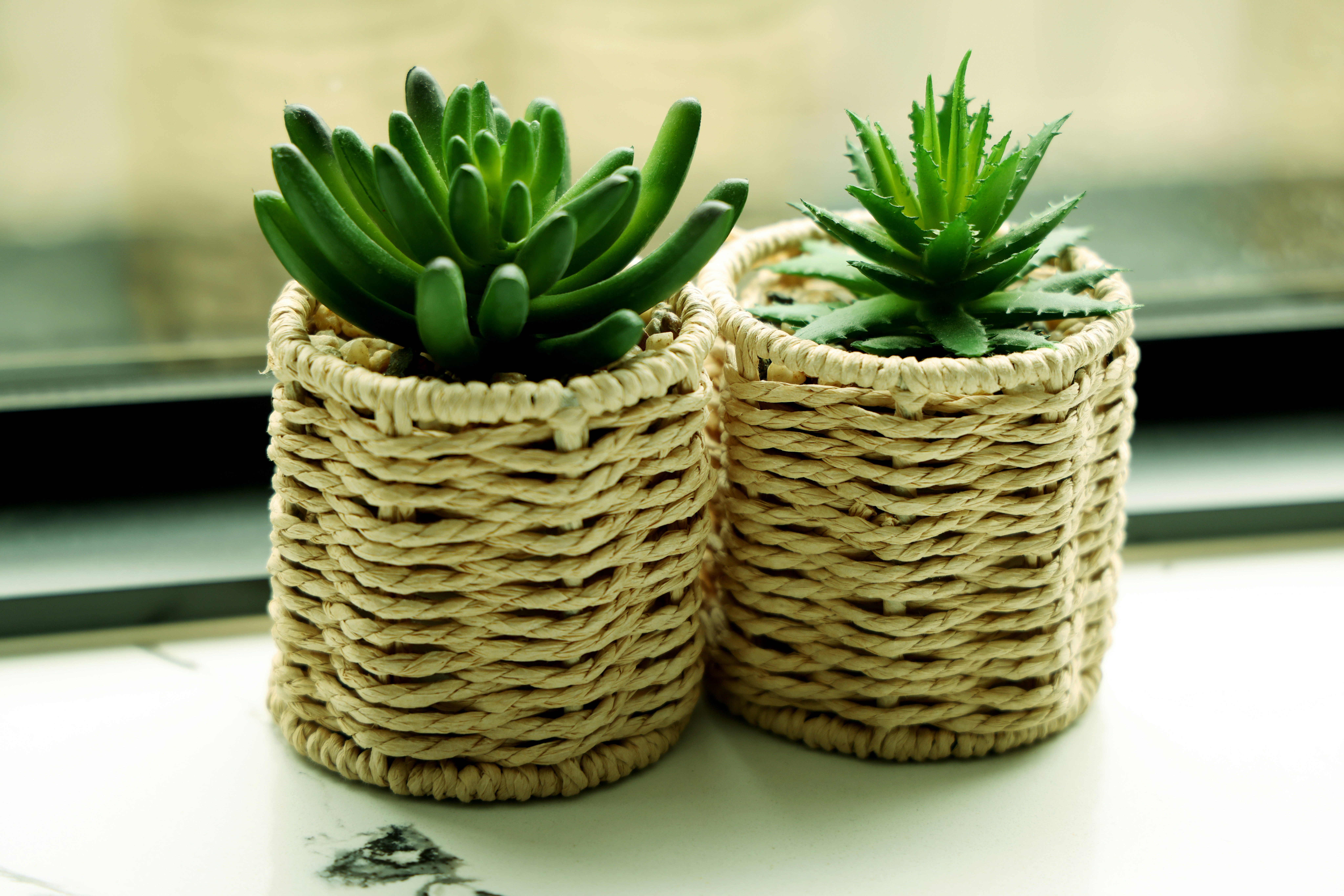 Photo by the_bhullar