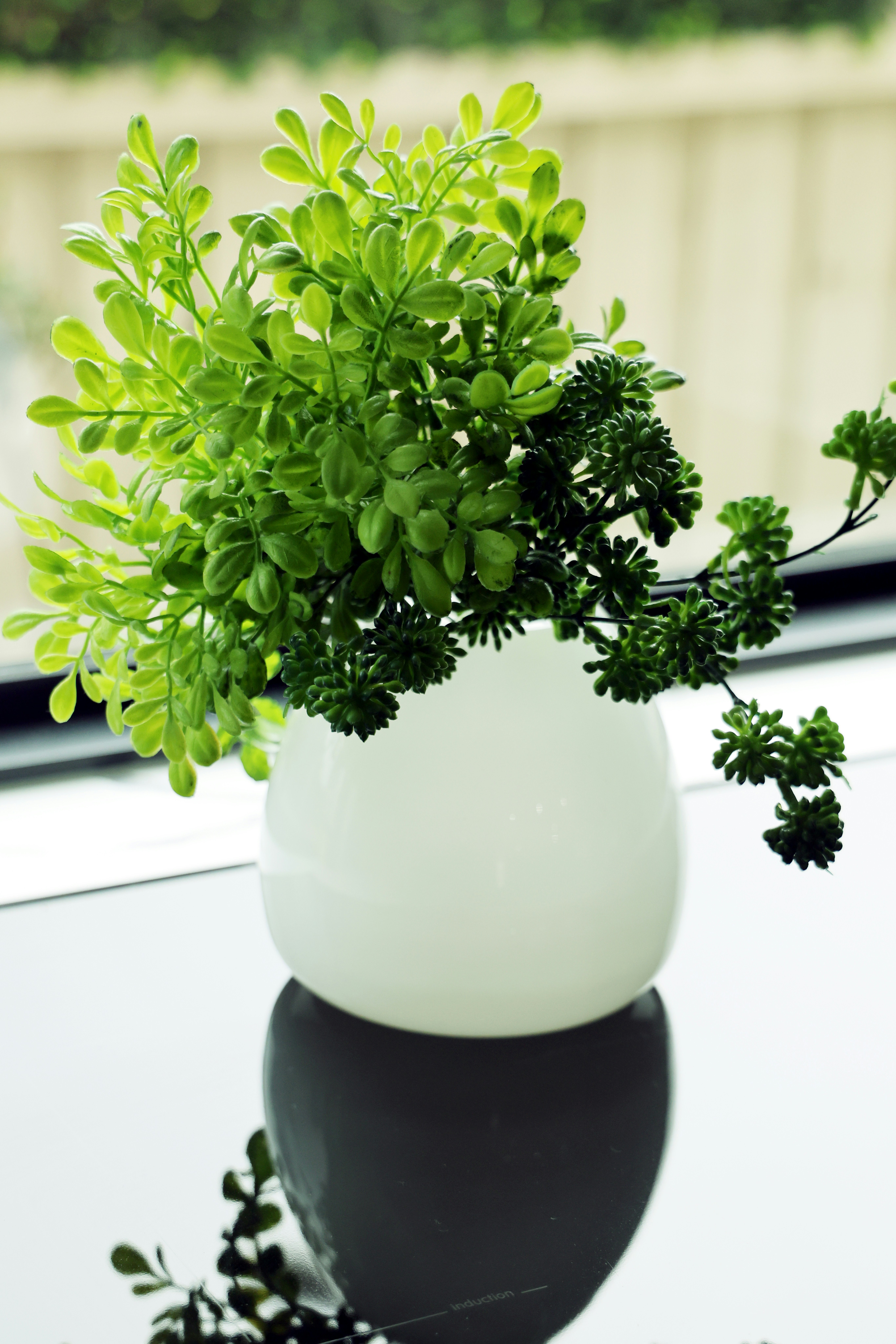 Photo by the_bhullar