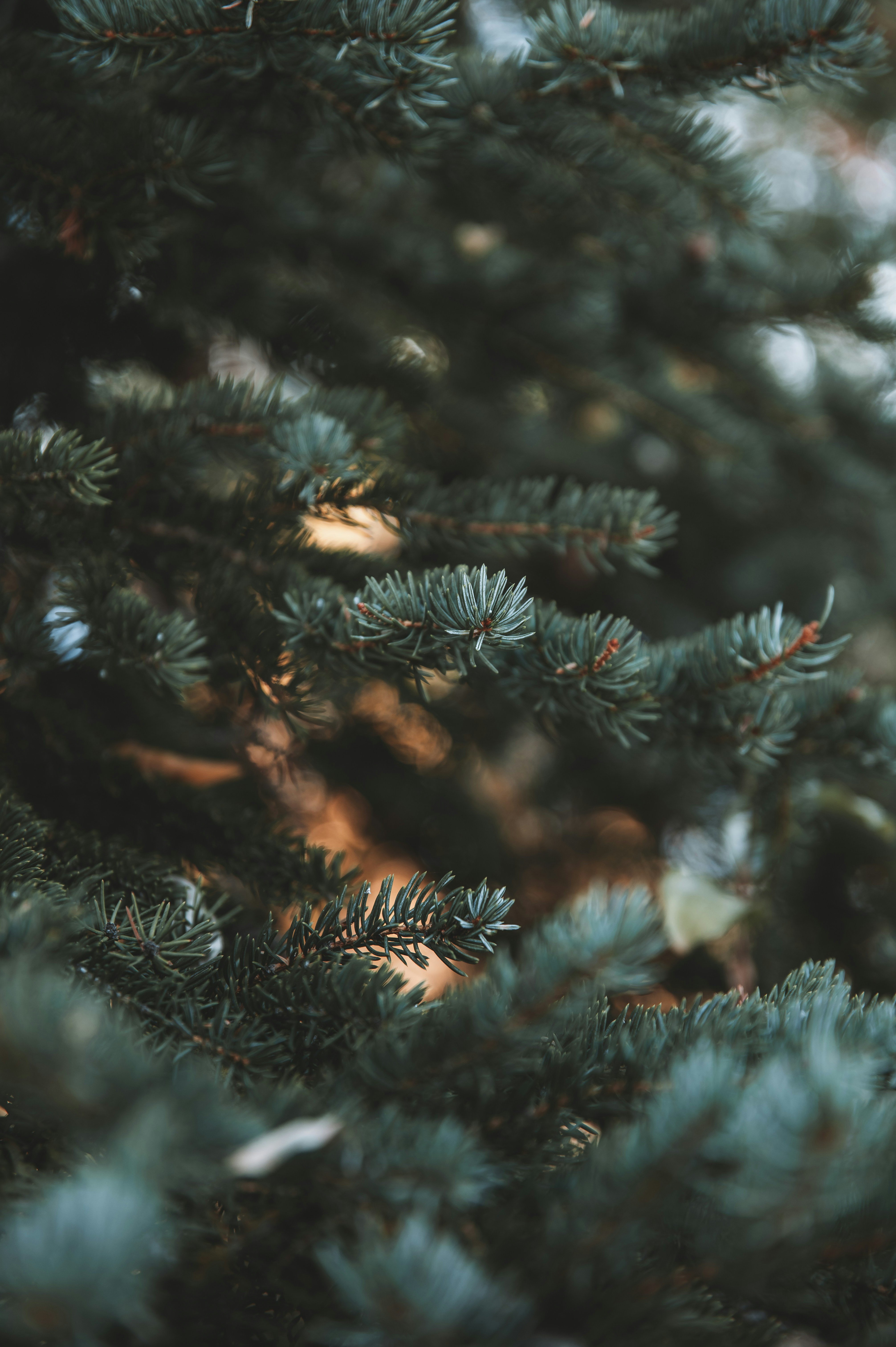 Photo by claytonschase