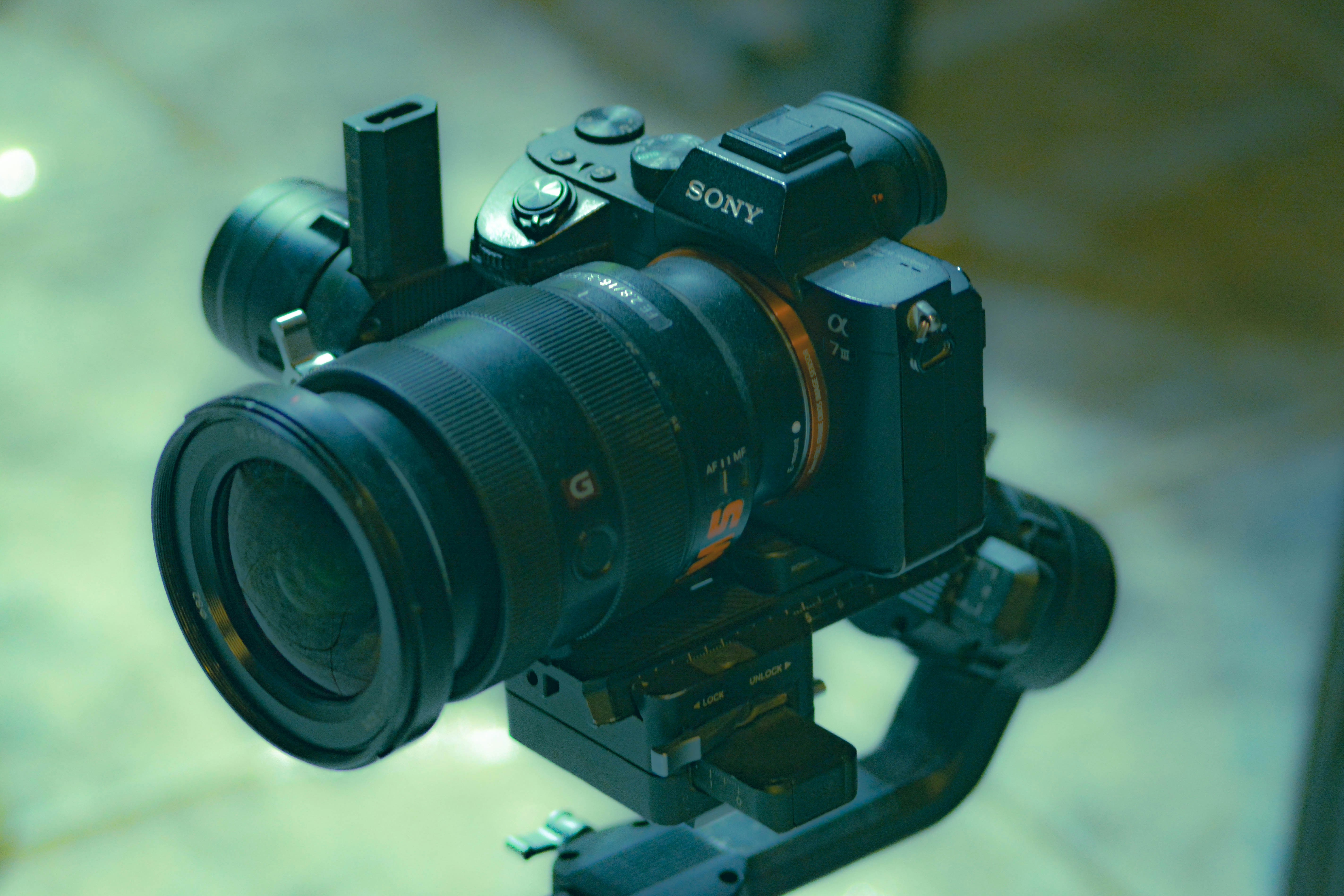 Photo by yassindawoud