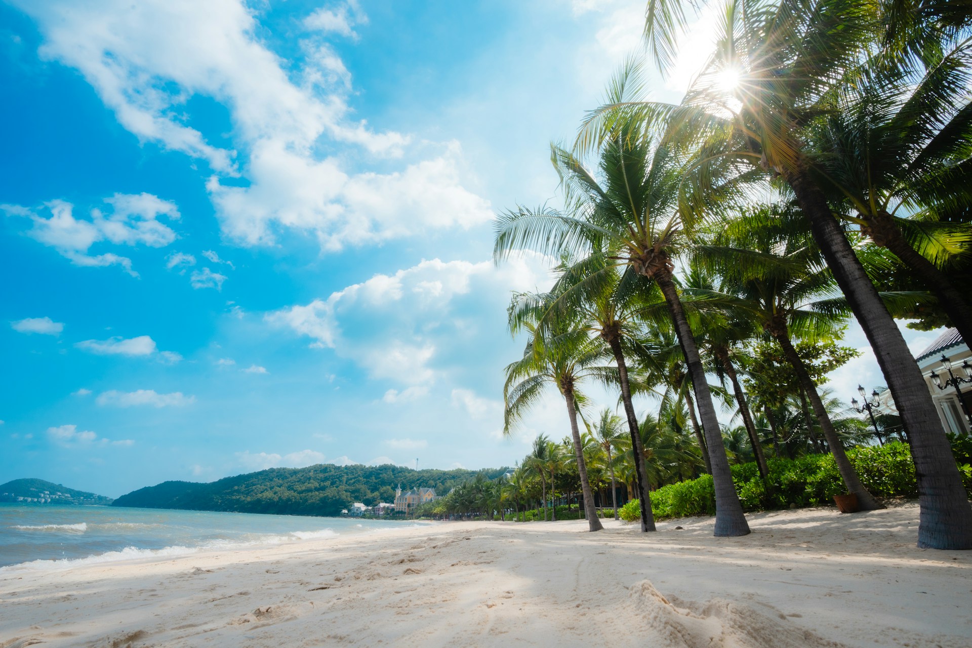 A sandy beach with palm trees and a blue sky
