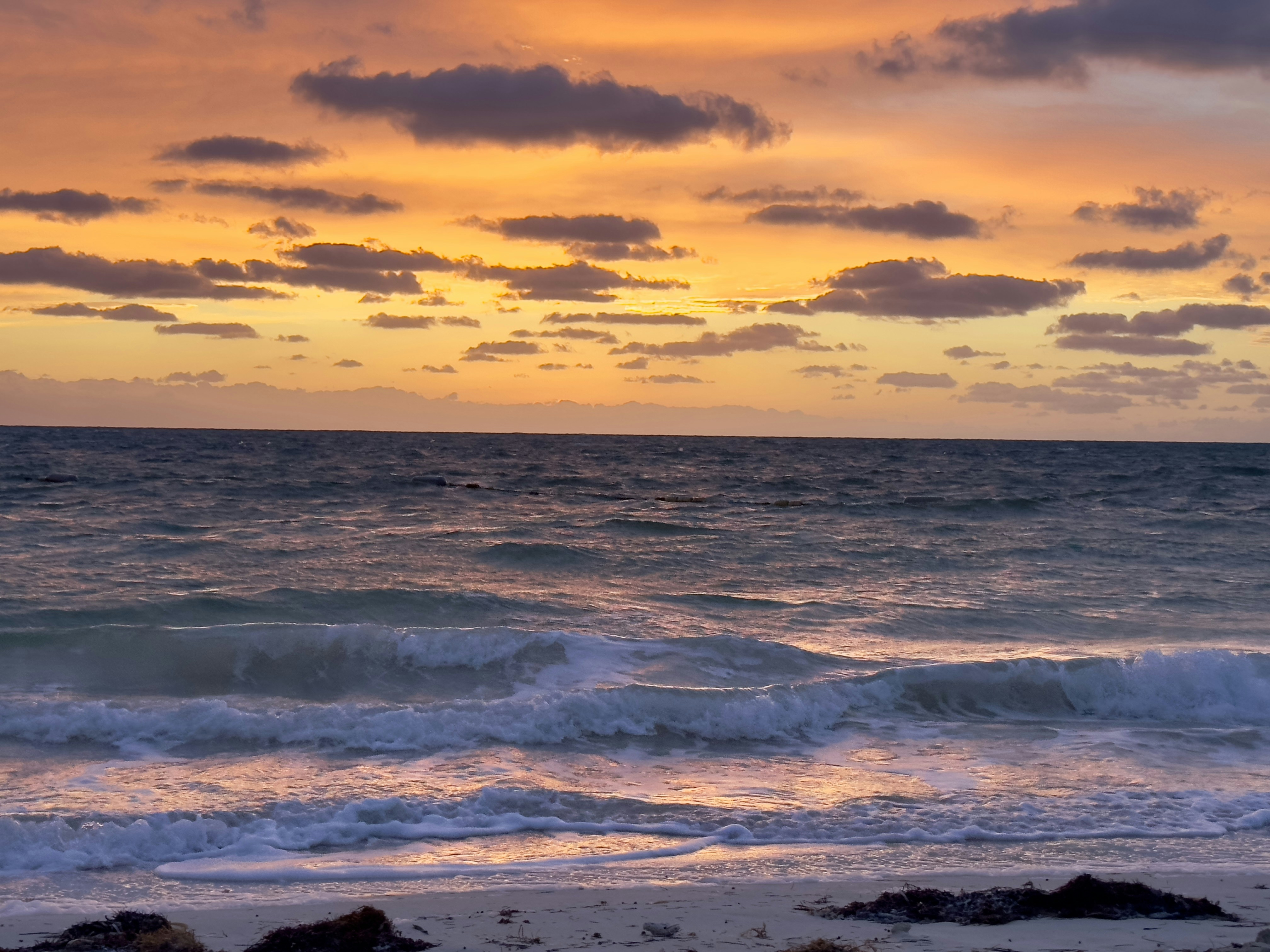 Photo by jimmybiscuits