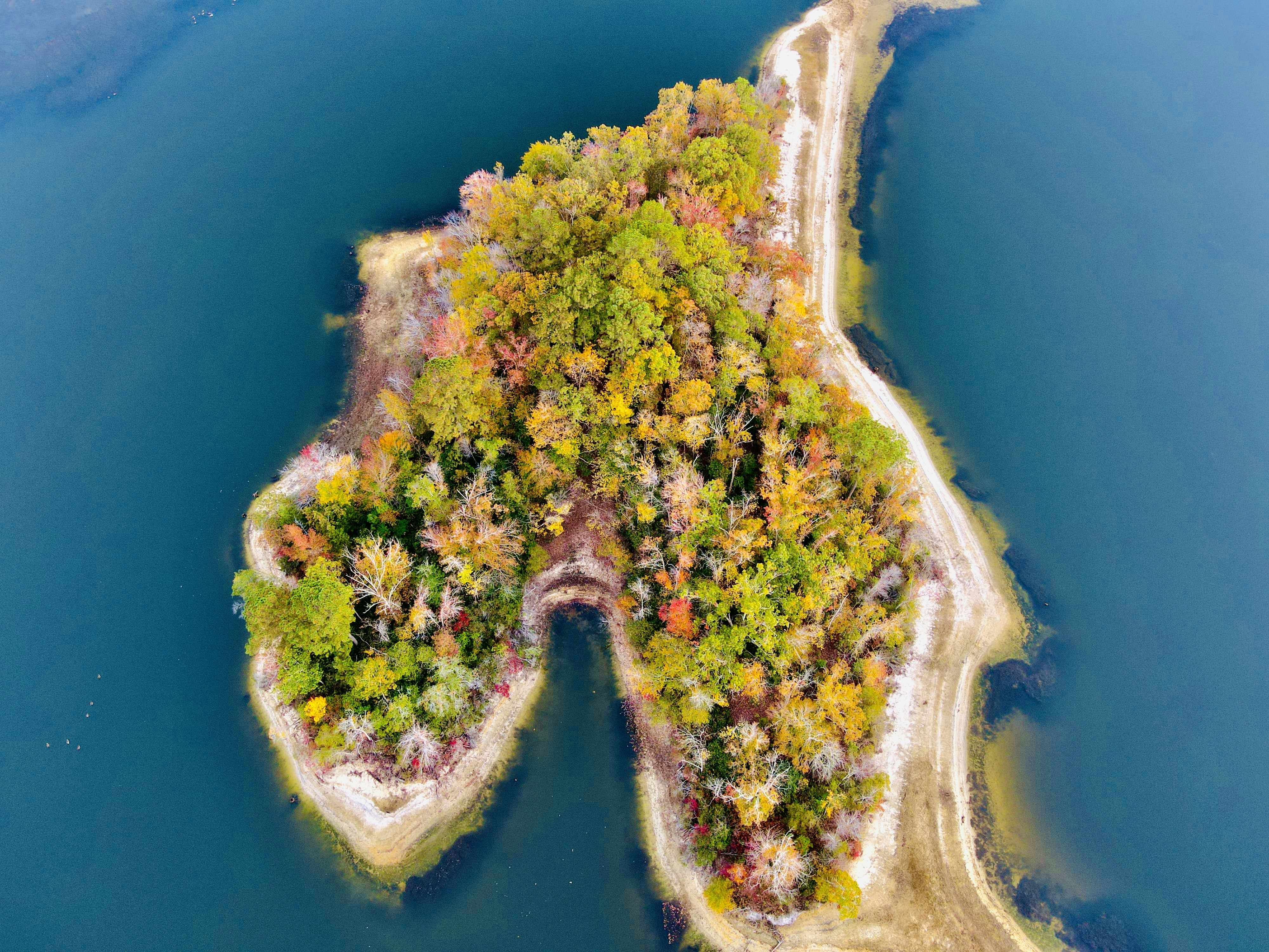 Photo by jimmybiscuits