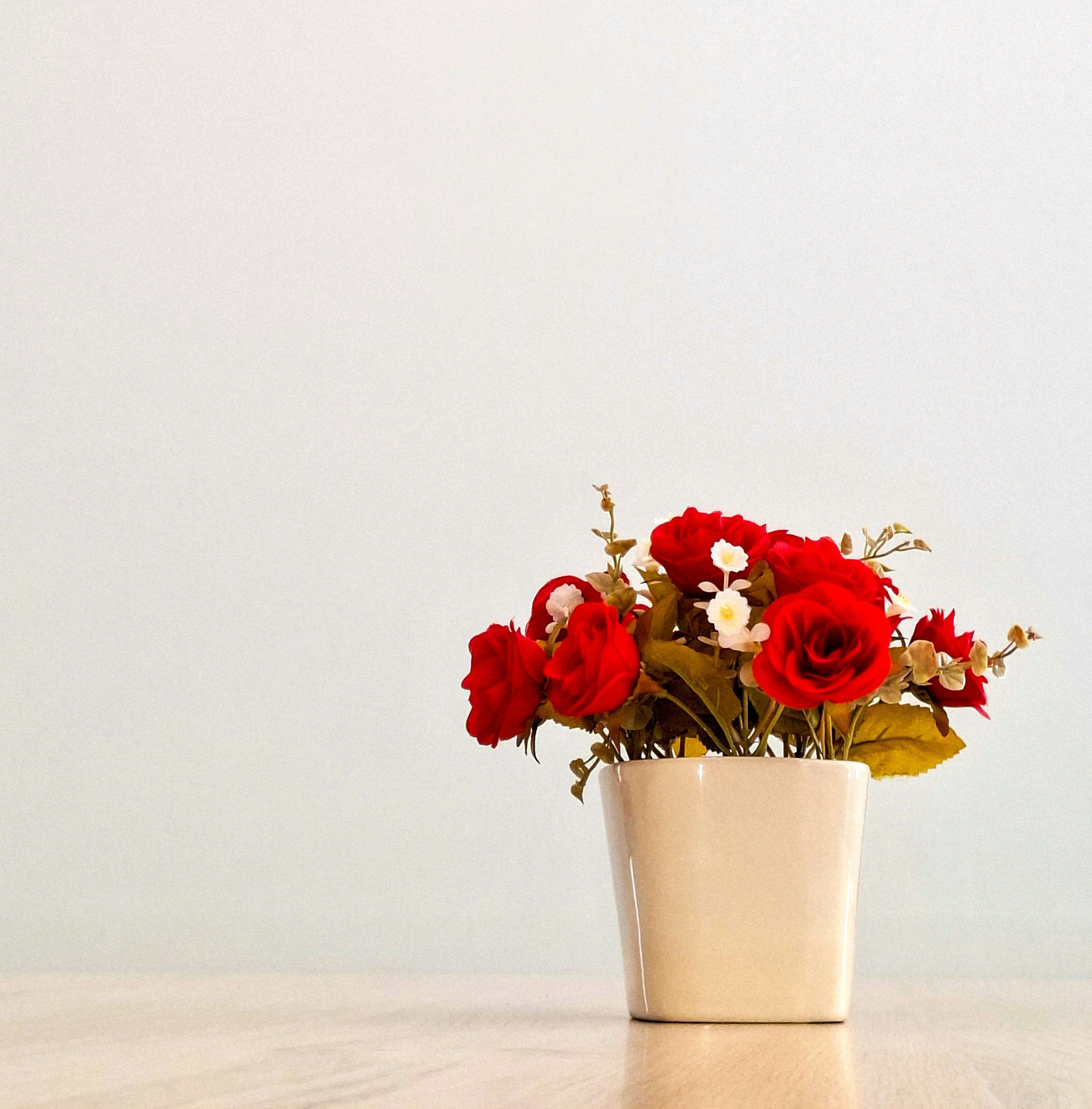 Photo by pante2554_1560