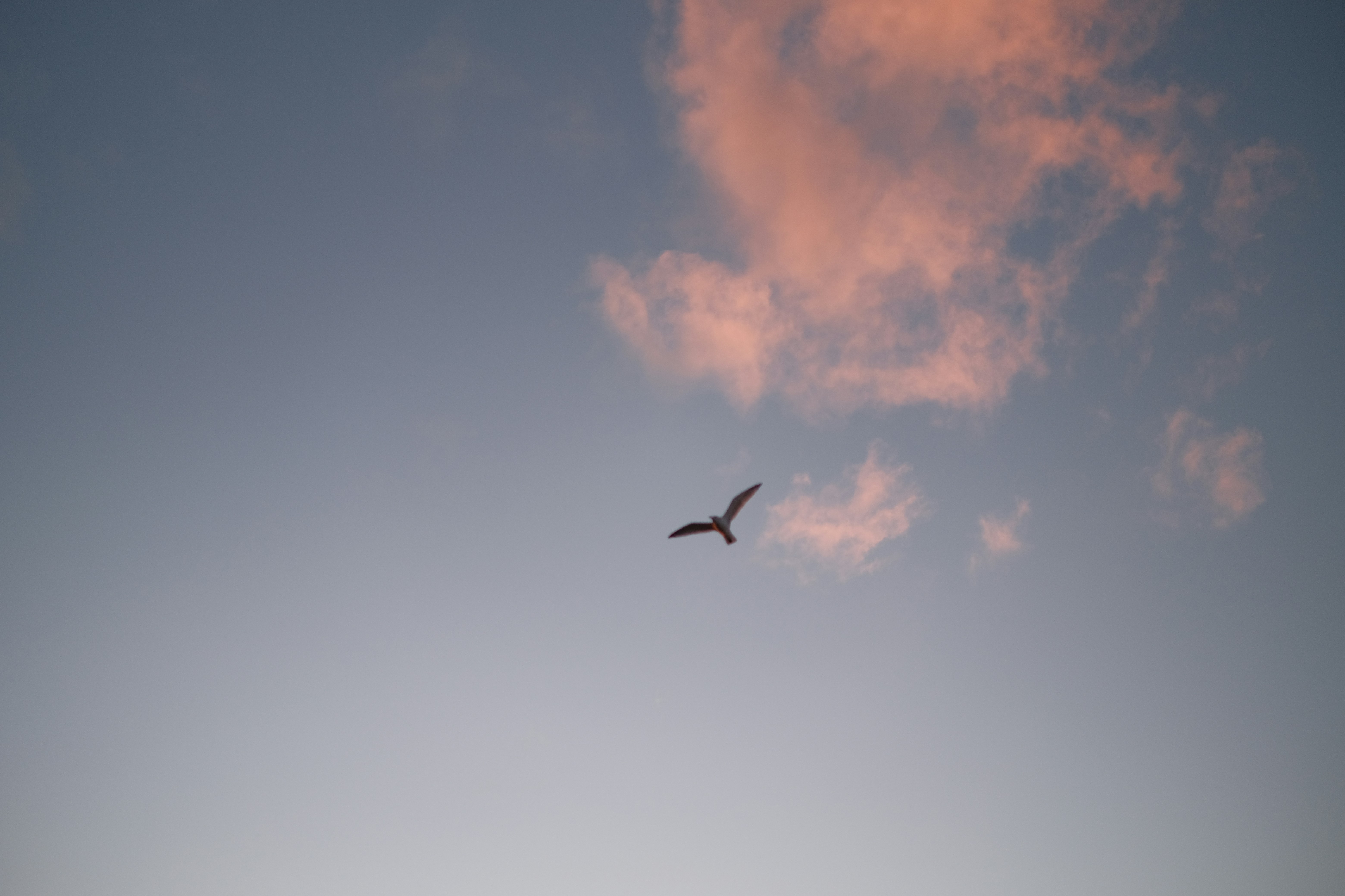 Photo by officialusmanqureshi