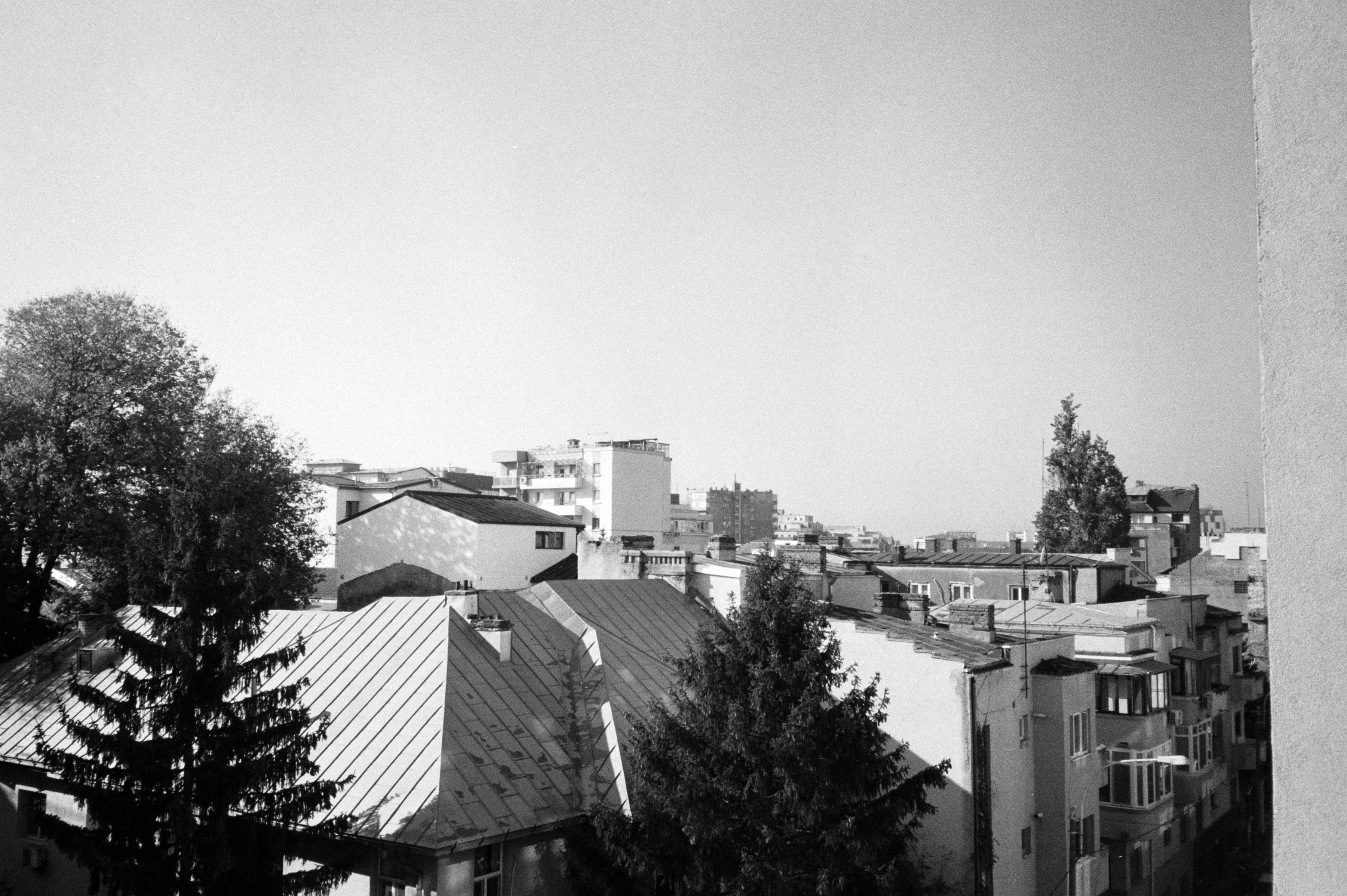 Photo by mirceadrian