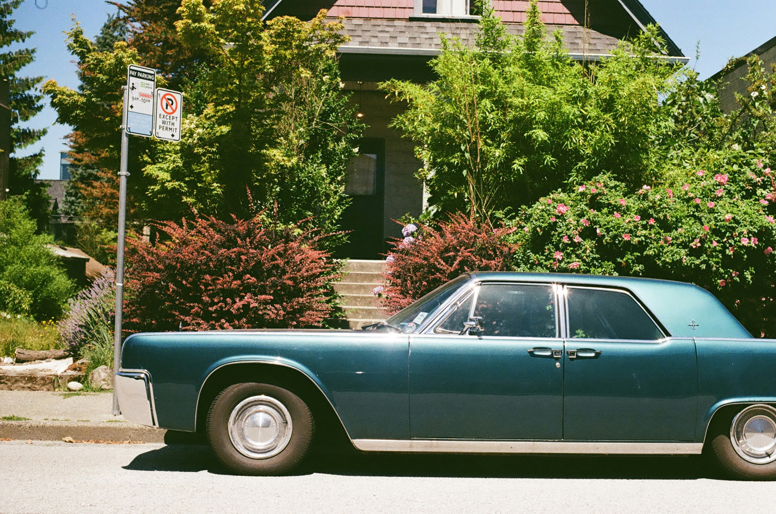 Photo by ardalanhamedani