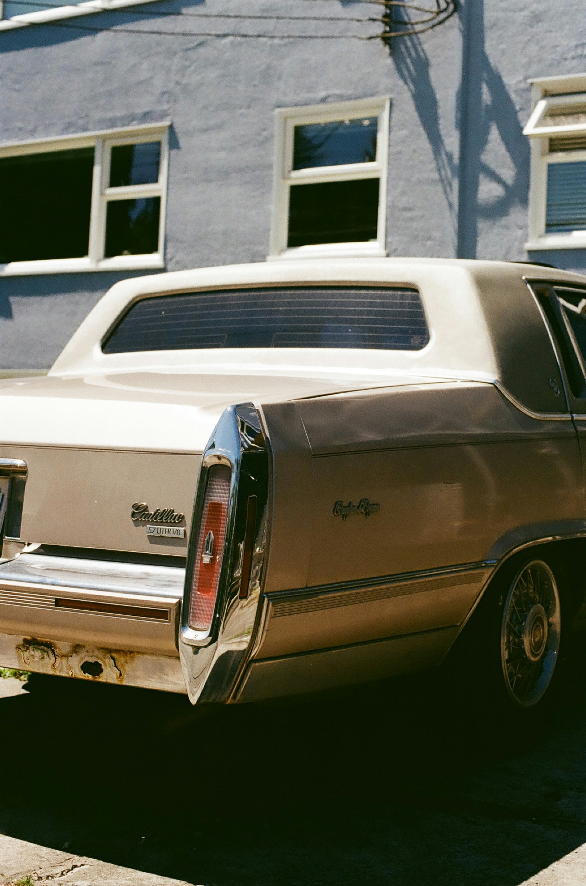 Photo by ardalanhamedani